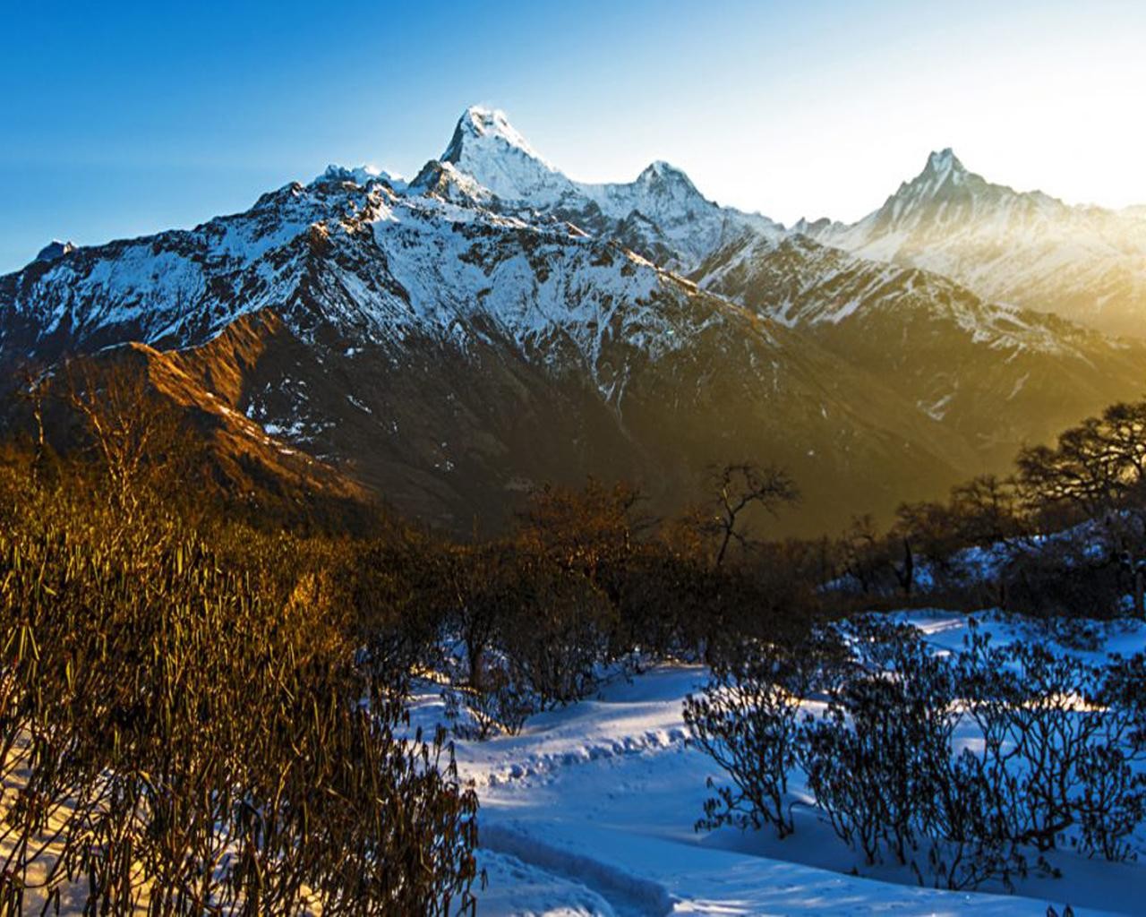 Hidden Himalayas: 8-Day Mohare Danda Trek via Nagi Village 2
