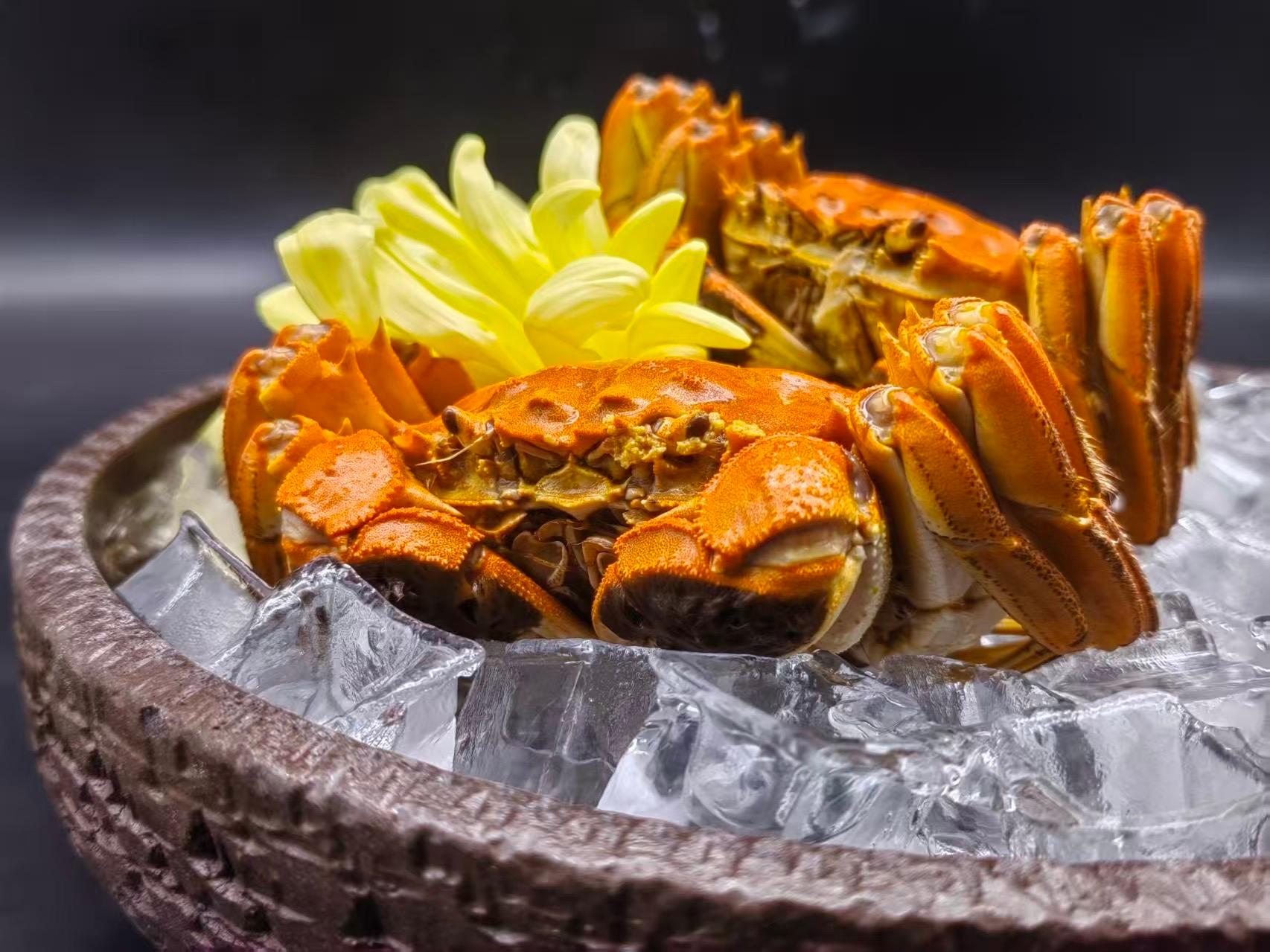 From Shanghai: Dongshan Island Trip with Hairy Crab Meal