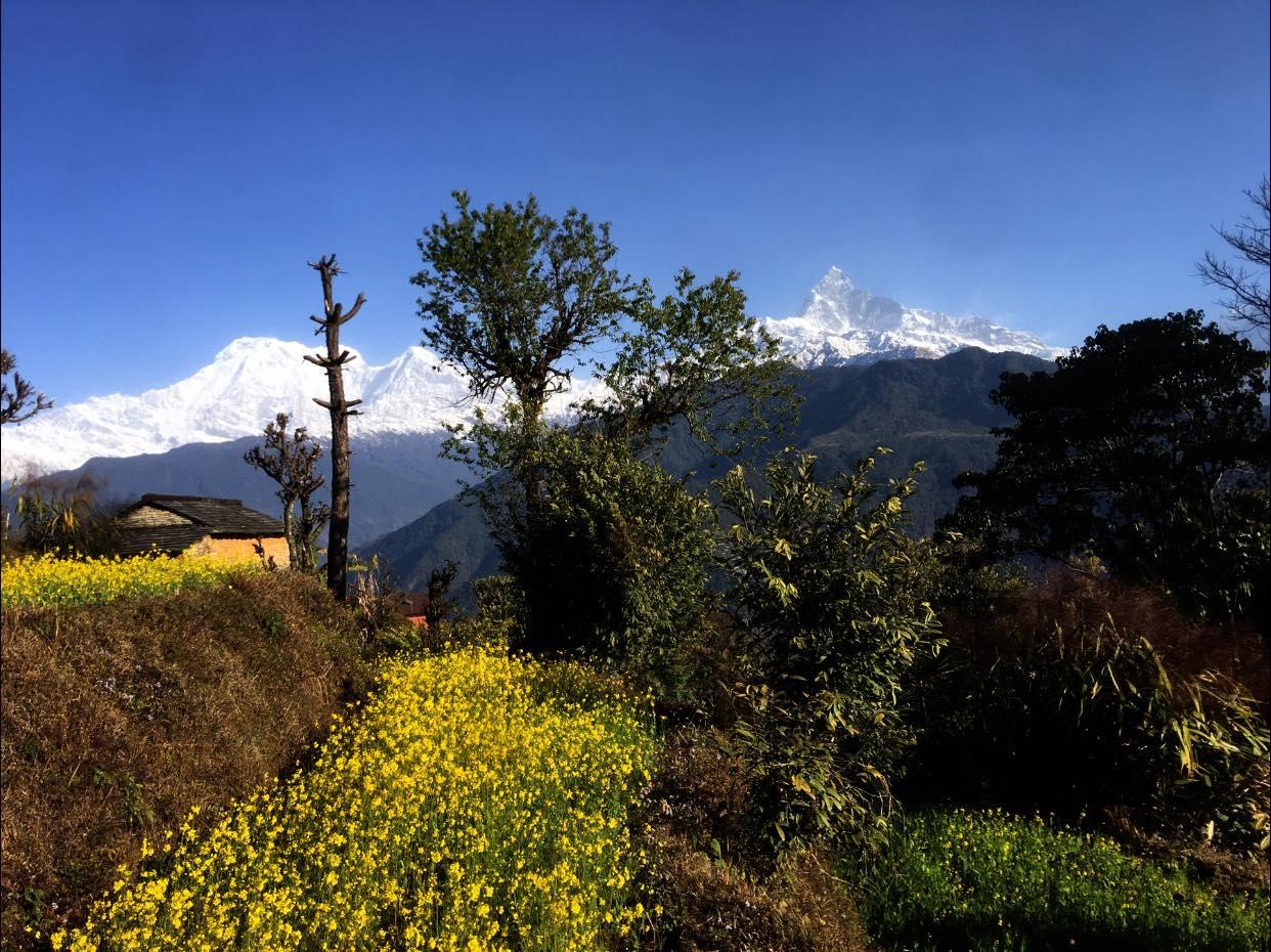 Pokhara: Astam to Dhampus Guided Hike with Meal & Transfer 3