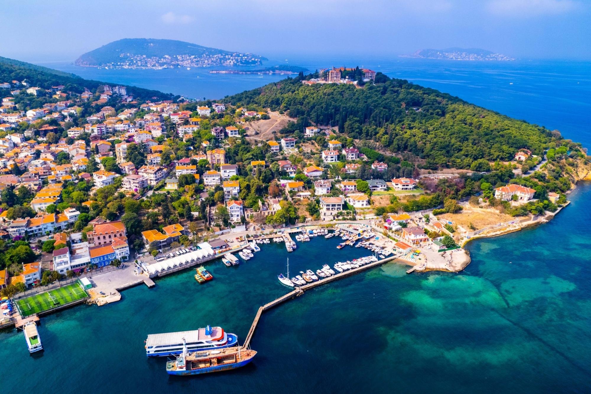 Istanbul: Princes' Islands Cruise with Lunch & Free Time 3