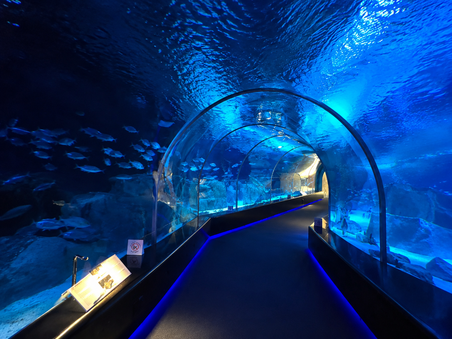 From Doha: Private Tour to Hamad Port Aquarium & Museum