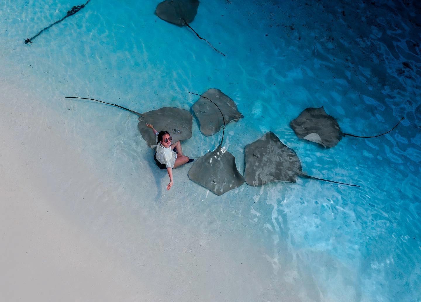 Malé: Nurse Shark Maldives & Fulidhoo Stingray Tour 2