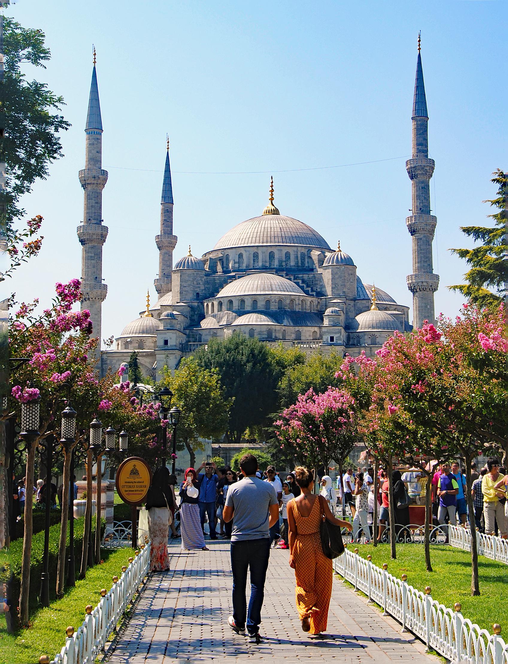 Istanbul: Hagia Sophia, Blue Mosque & Bosphorus Cruise 3