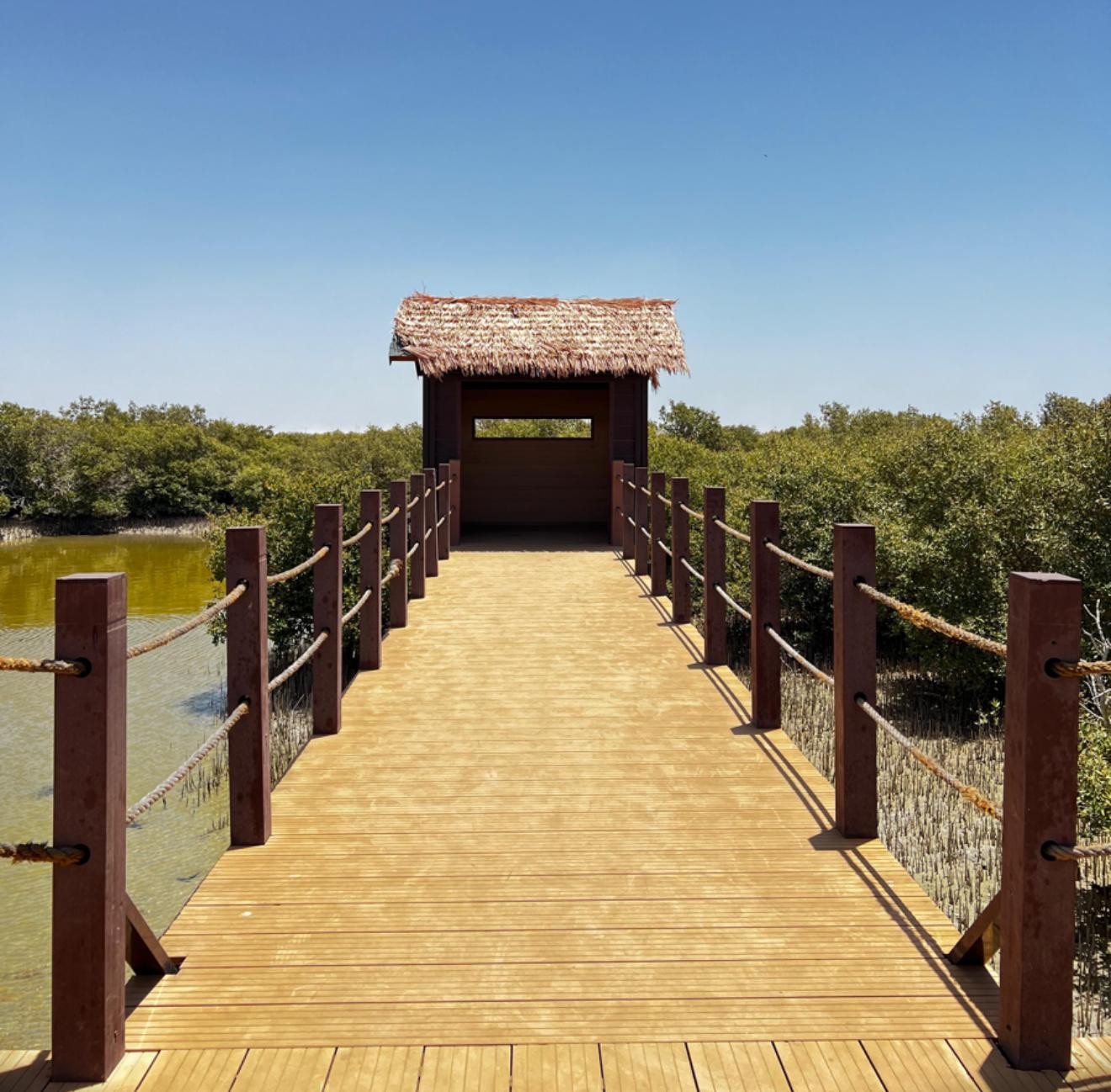 Doha: Zubara UNESCO Site, Mangroves & Jumail Village 3