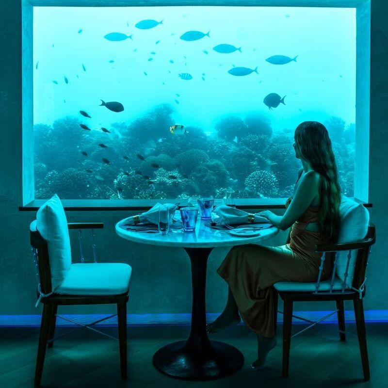 Maldives Underwater Restaurant Dining Experience