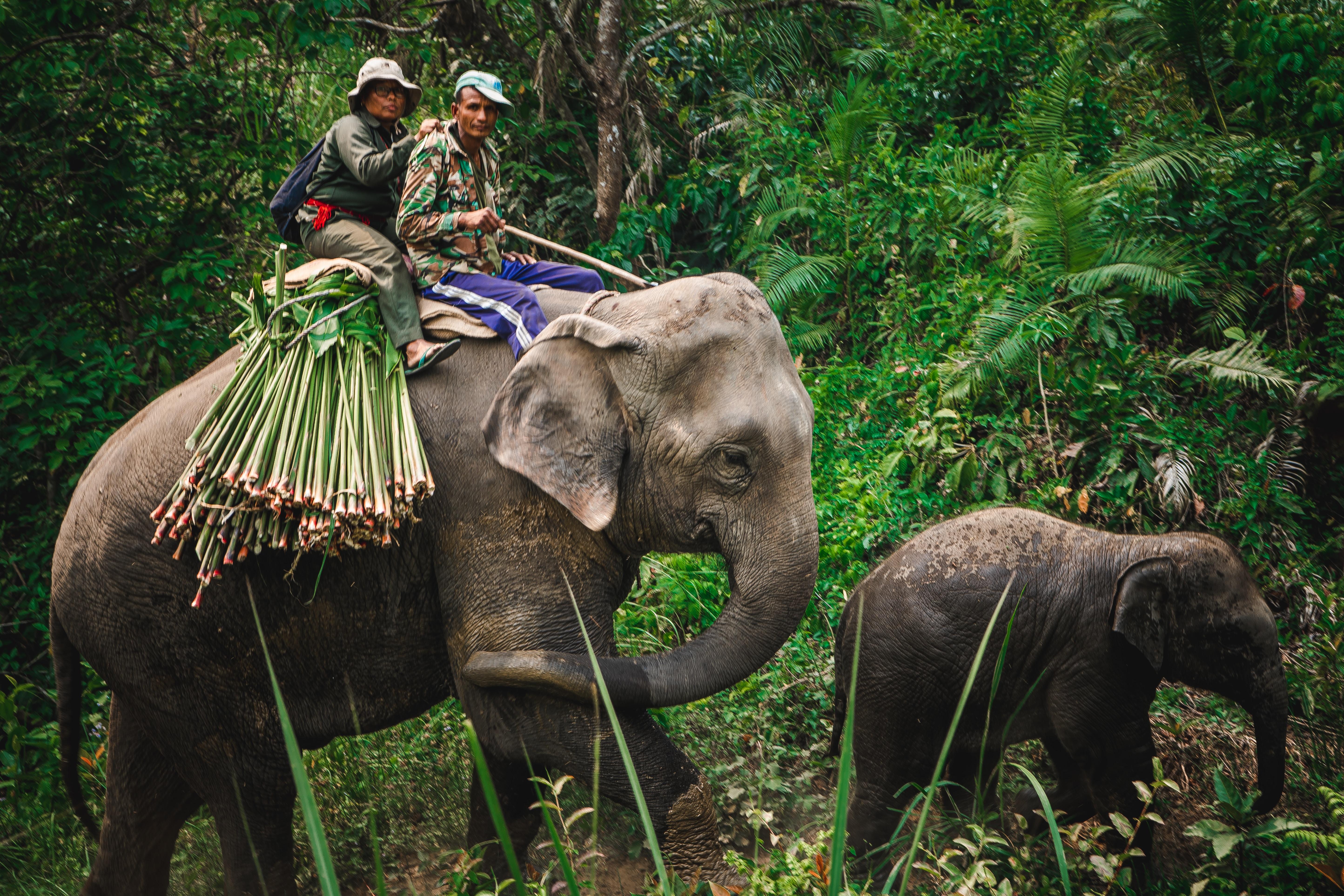Best of Nepal Tour - 10 days Exclusive 3