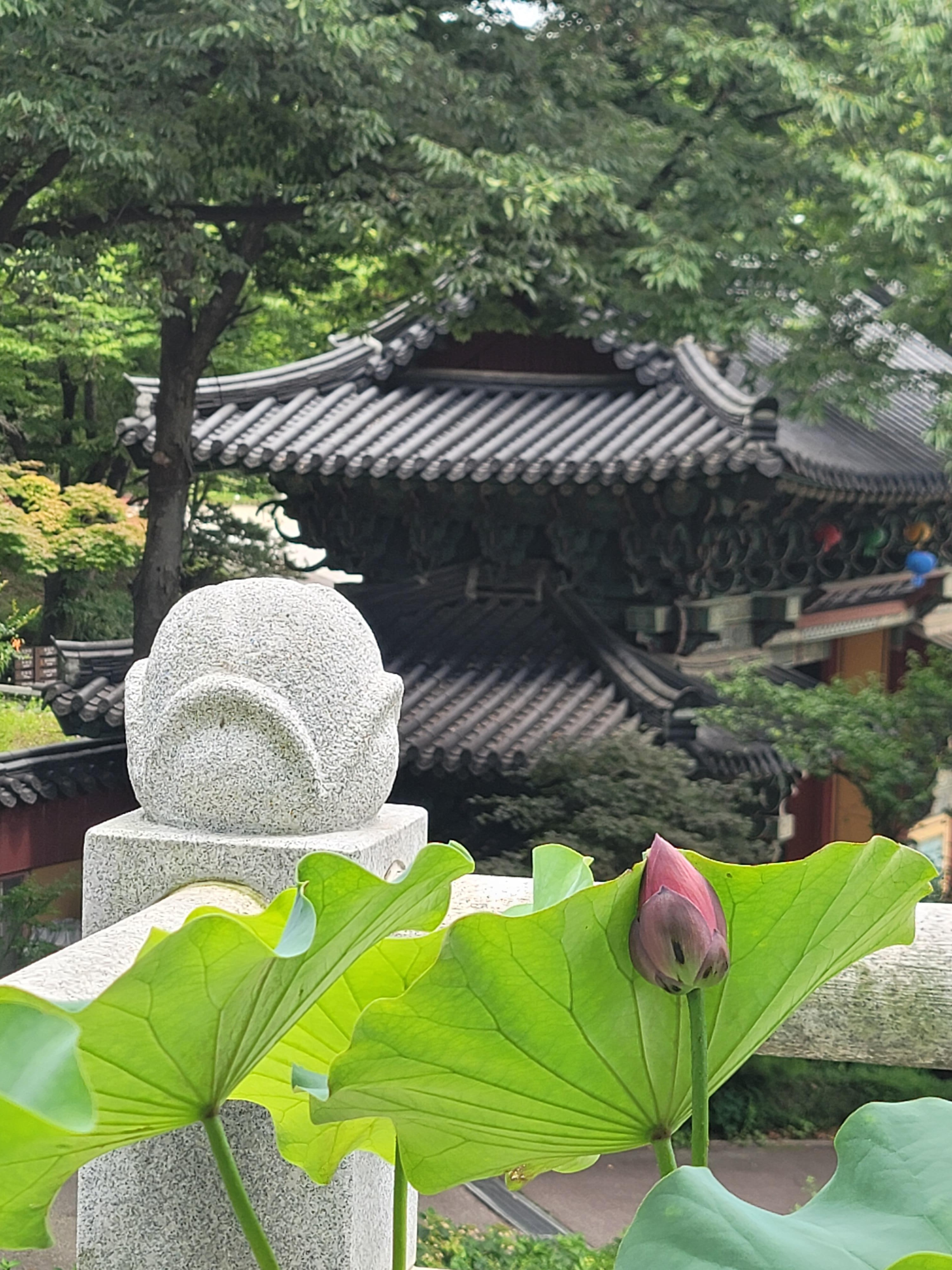 Seoul Hidden Gem Walk: Private, Local & Relaxed 3