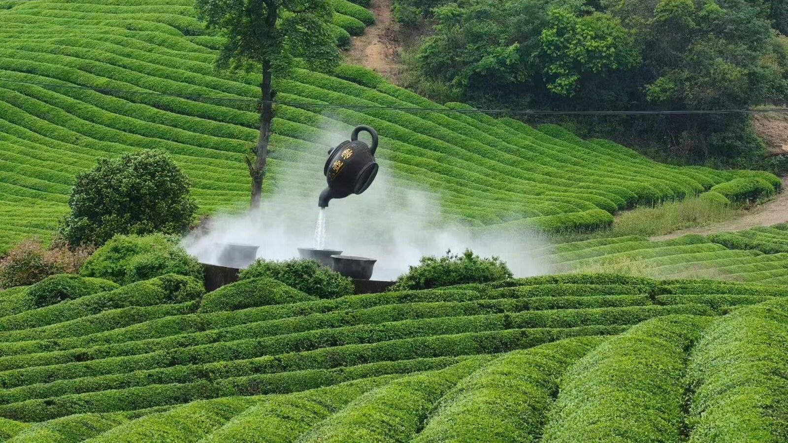Shanghai: Shaoxing Tea Hills & Quiet Ancient Trail Day Trip