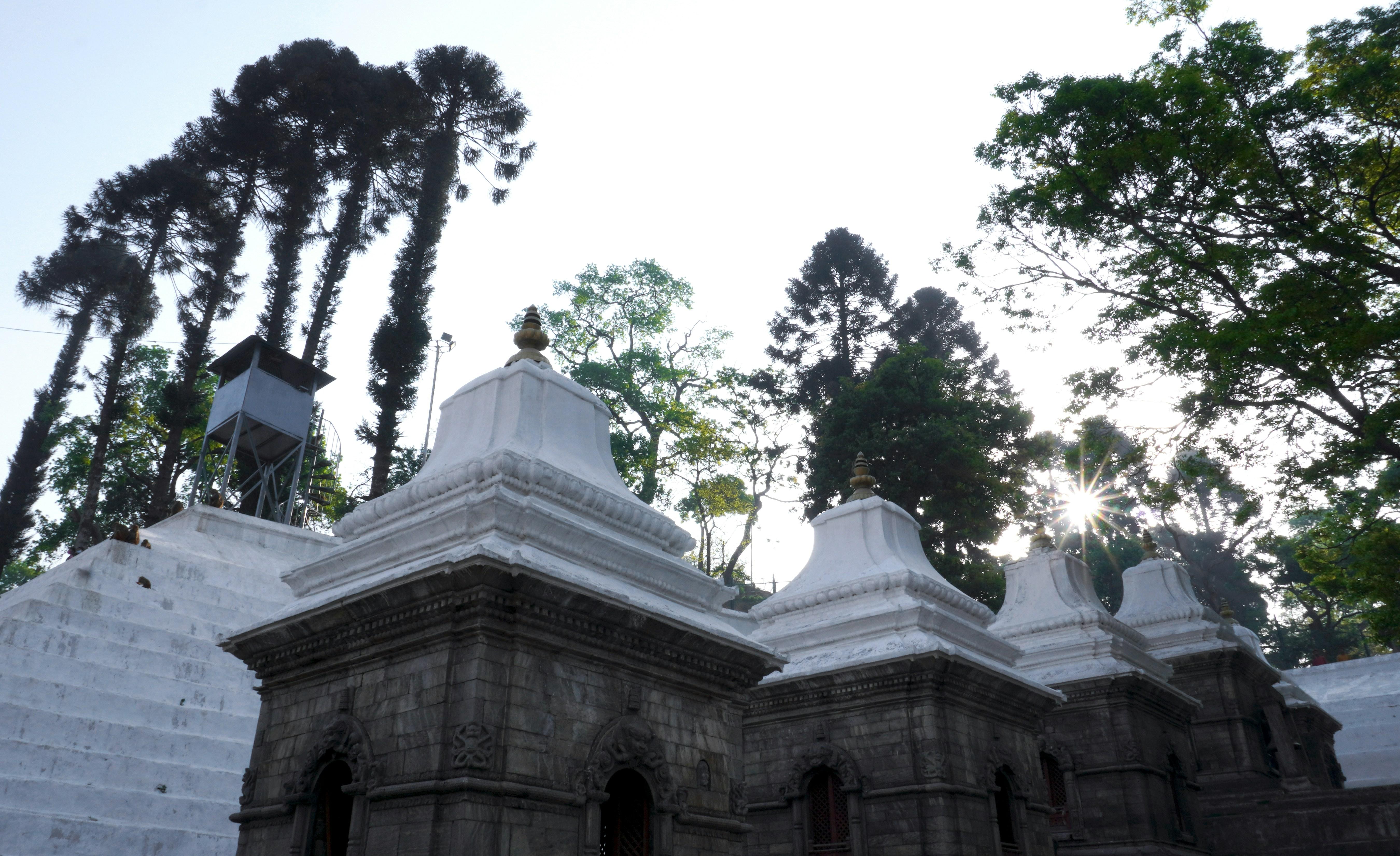 A one Day Tour of Kathmandu 3