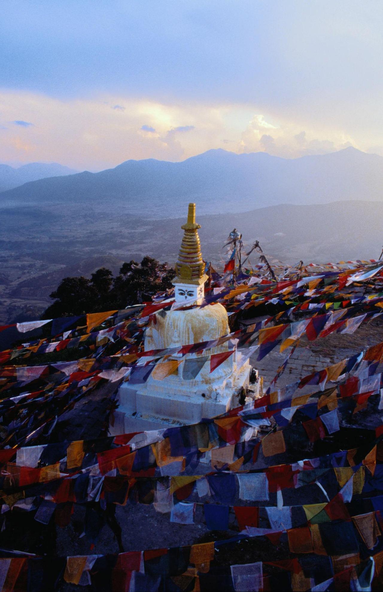 Hidden Forest Awakening: Kathmandu Valley Sunrise & Wildlife 2