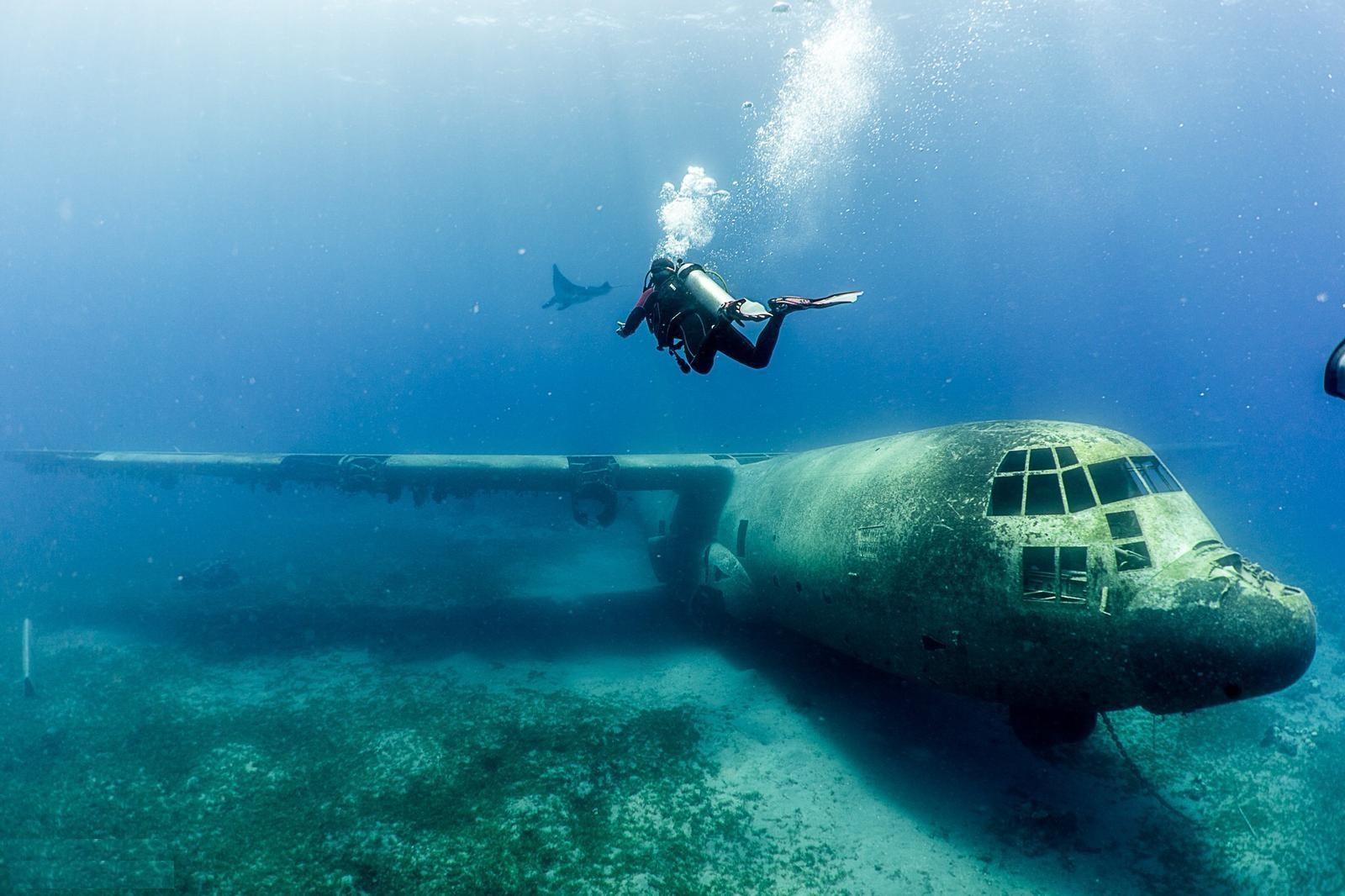 Aqaba: 2 Guided Dives Boat Trip with Gear and Buffet Lunch
