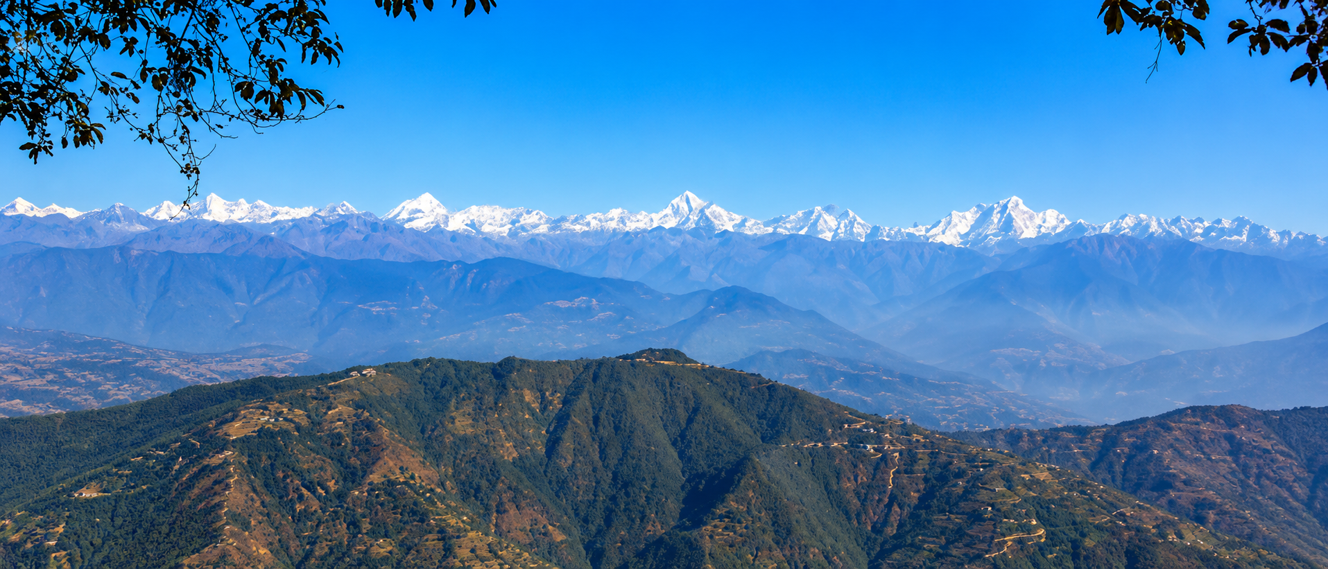 Kathmandu: Jamacho Monastery Hike in Shivapuri Park