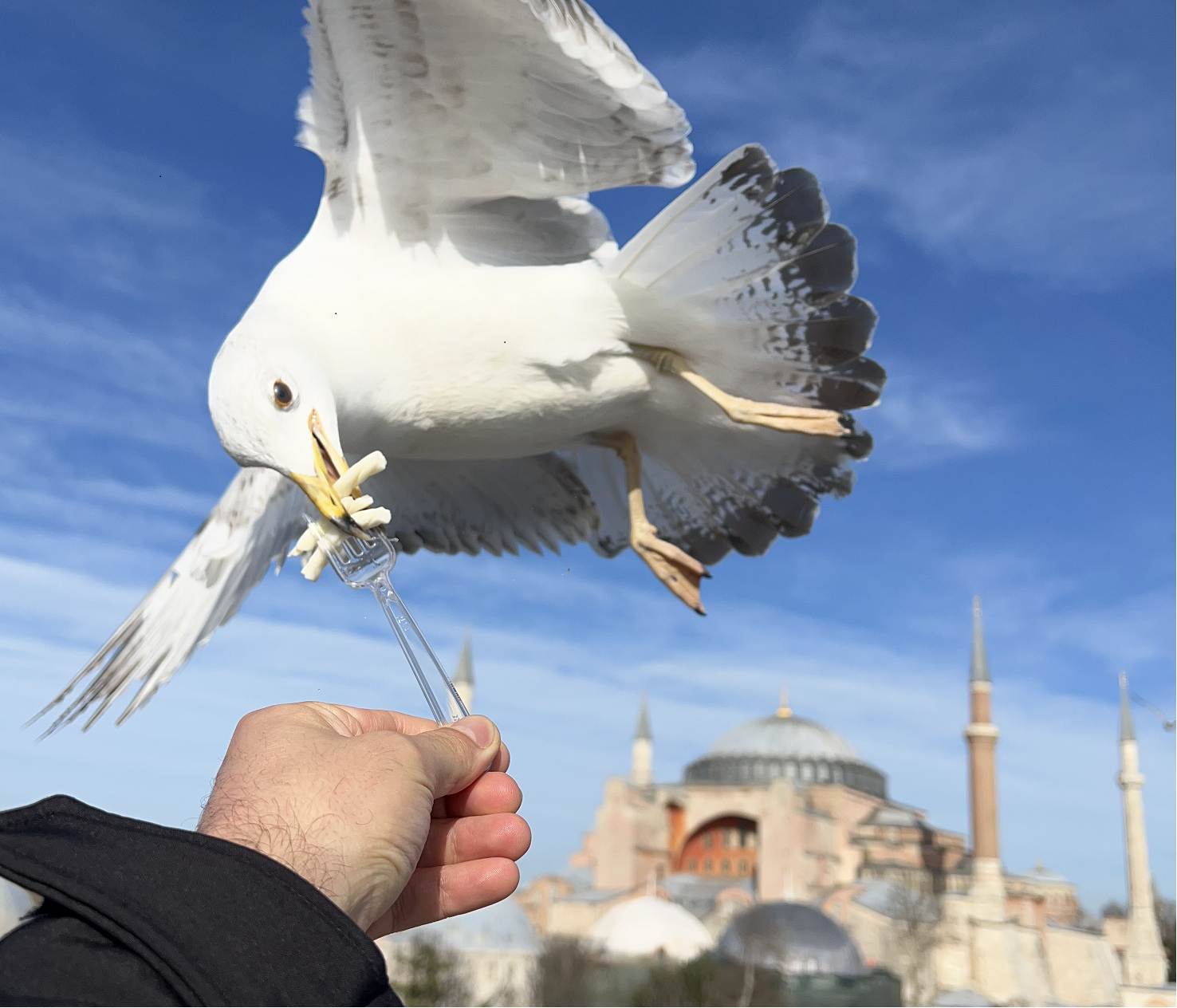Layover Private Guided Istanbul City Tour with Transfers 3