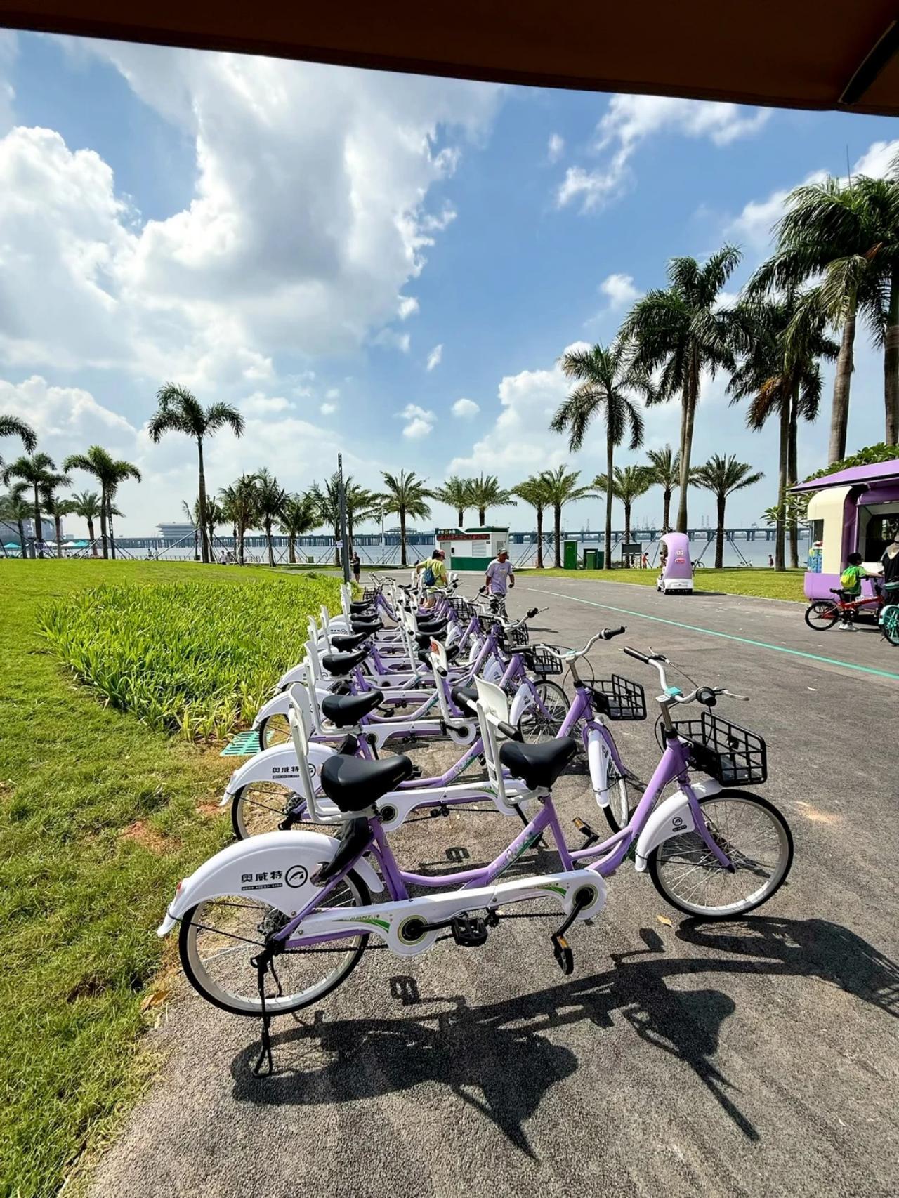 From Hong Kong: Shenzhen Day Tour Cultural & Massage & Tech 3