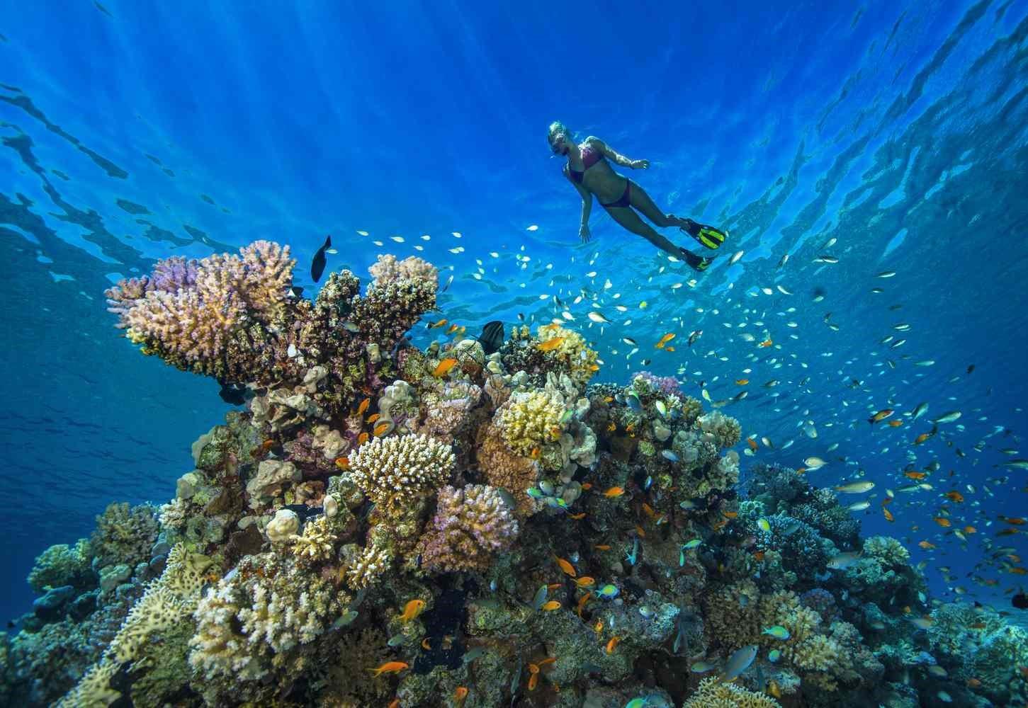 Snorkeling trip with pick up and guide 3