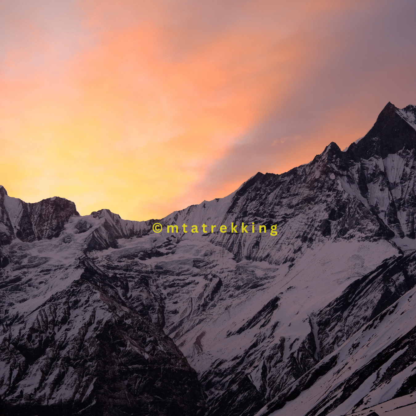 Pokhara: 5-Day ABC Trek to Annapurna Base Camp at 4,130 m 2