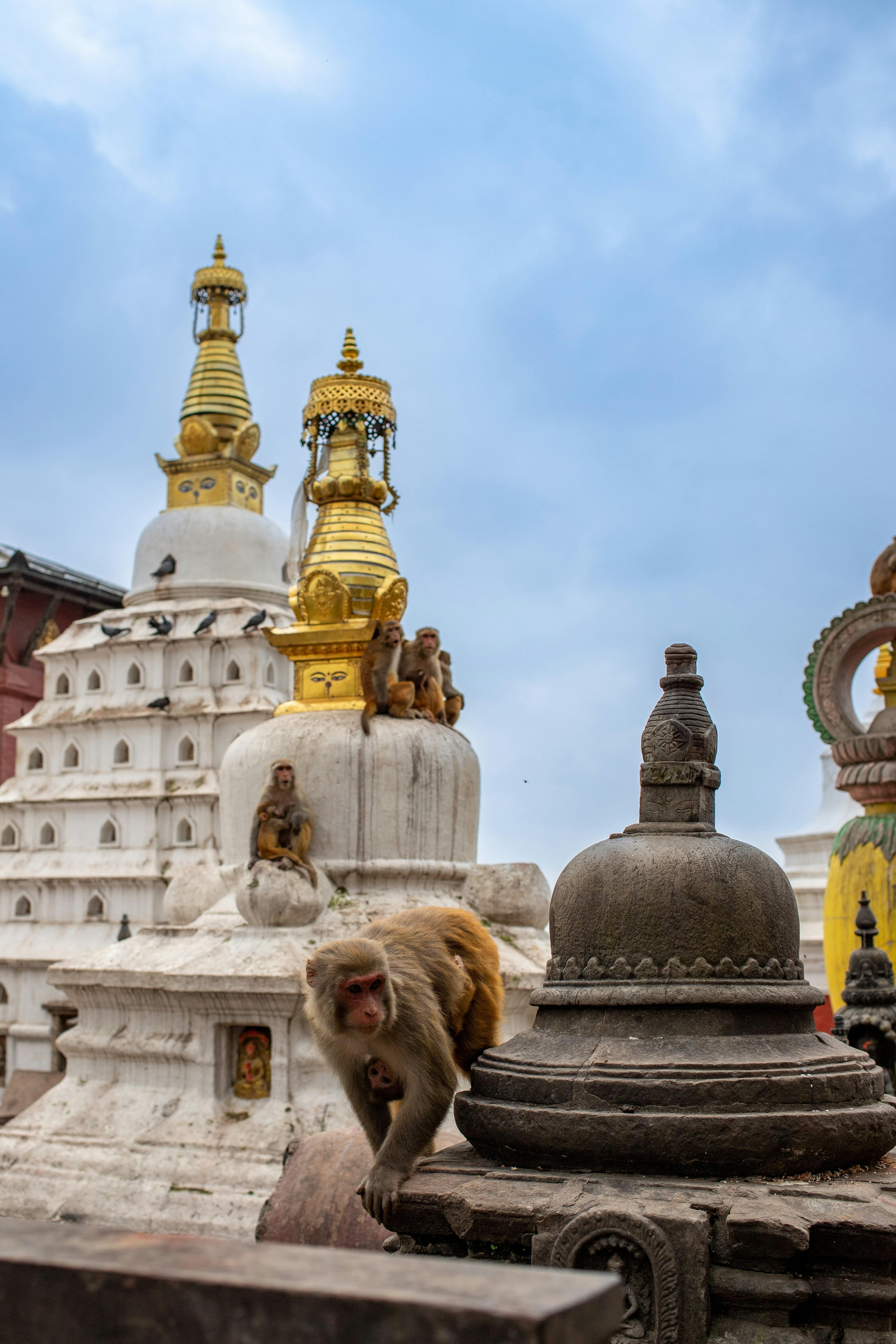 Kathmandu: Half-Day Chaitya Walk Guided Tour