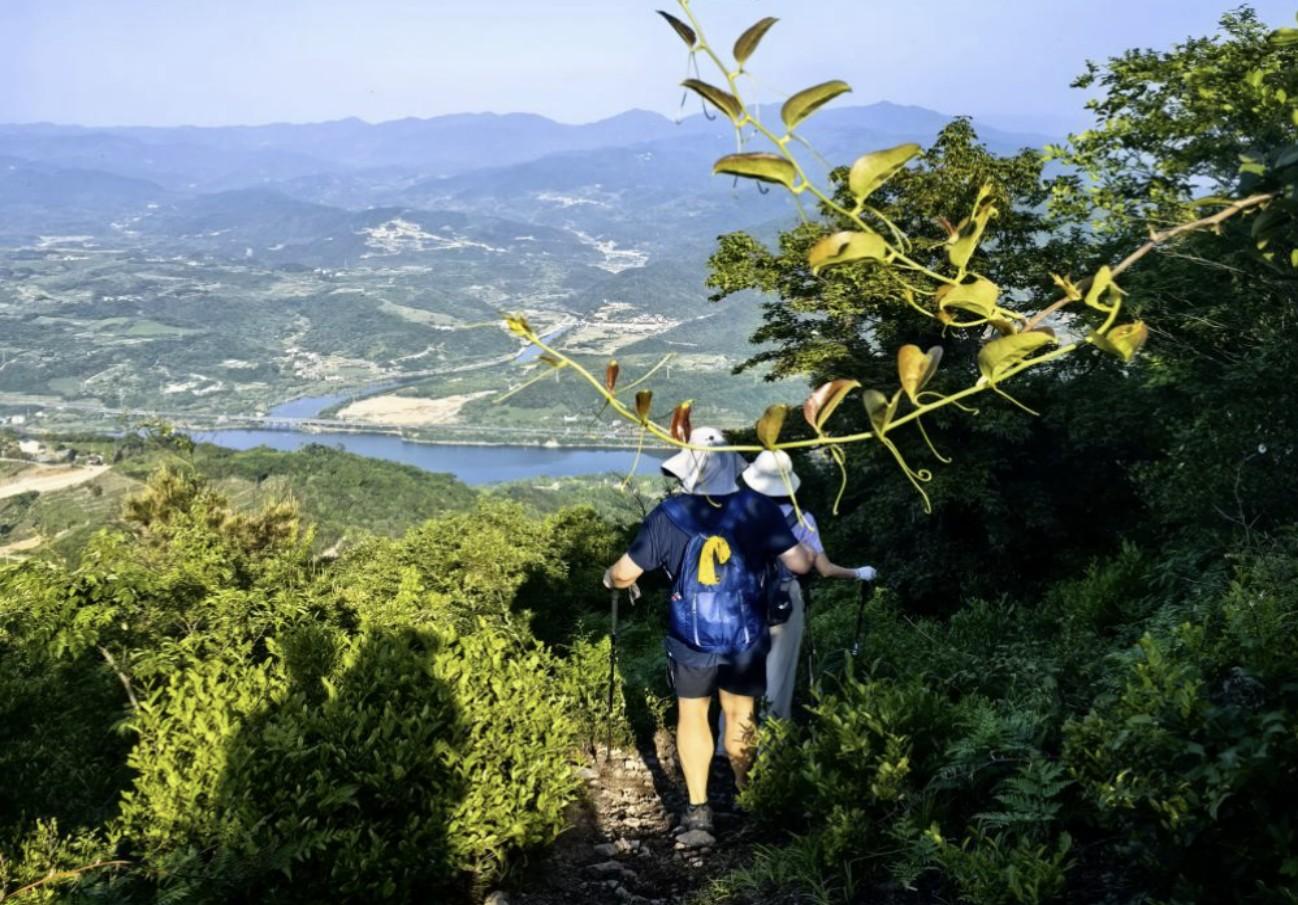 Shanghai: Tea Hills, Poetry Trail & Lonely Tree Day Trip