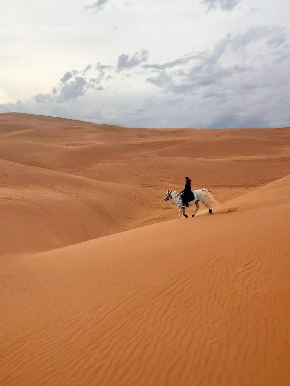 Riyadh: Guided Horseback Riding Tour with photography & Tea 2
