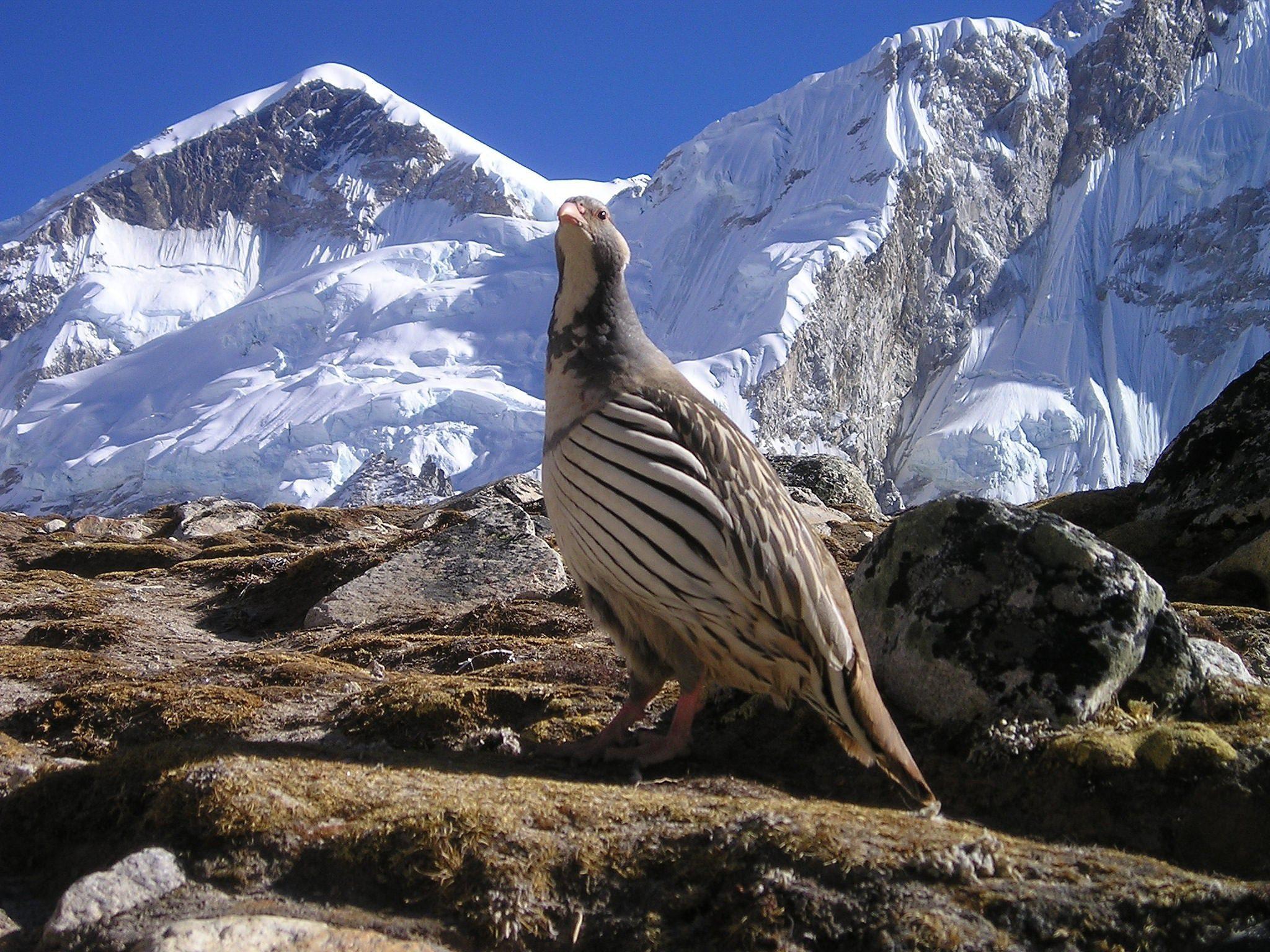 Upper Mustang trek Adventure: Mysteries of forbidden Kingdom 2