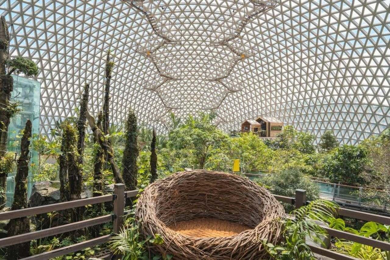 From Busan: Geoje Jungle Dome, Cable and POW Camp Day Trip