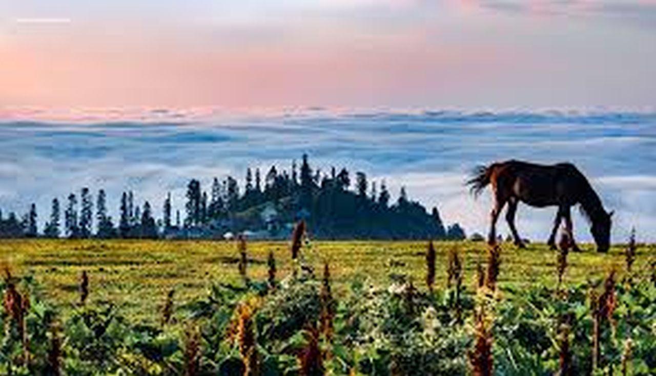 Kutaisi:Hidden Guria Tour with Cliff Caves & Bakhmaro Sunset 2