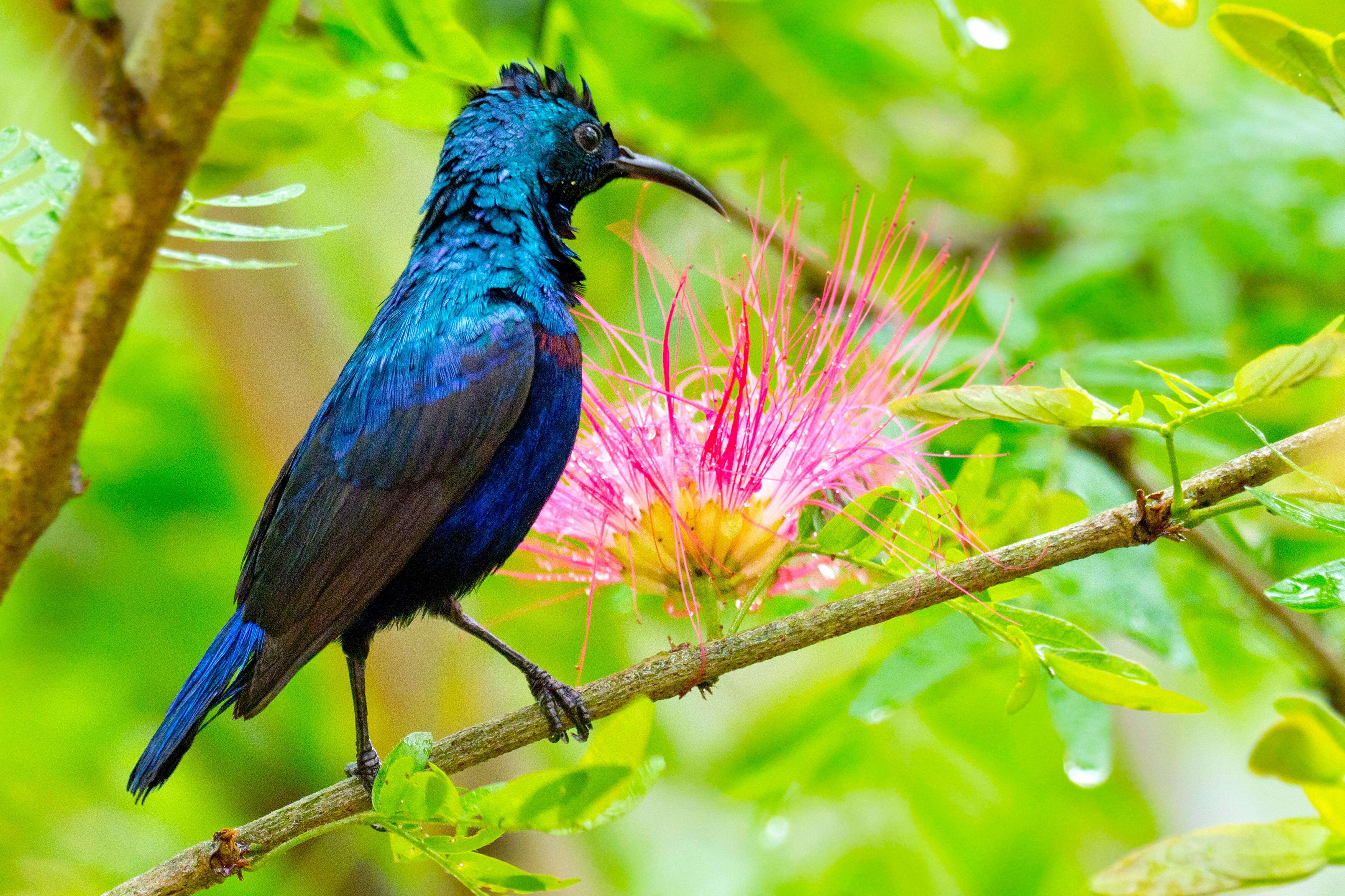 Kathmandu: 4-Day Bardiya Forest camp or Eco lodge 3