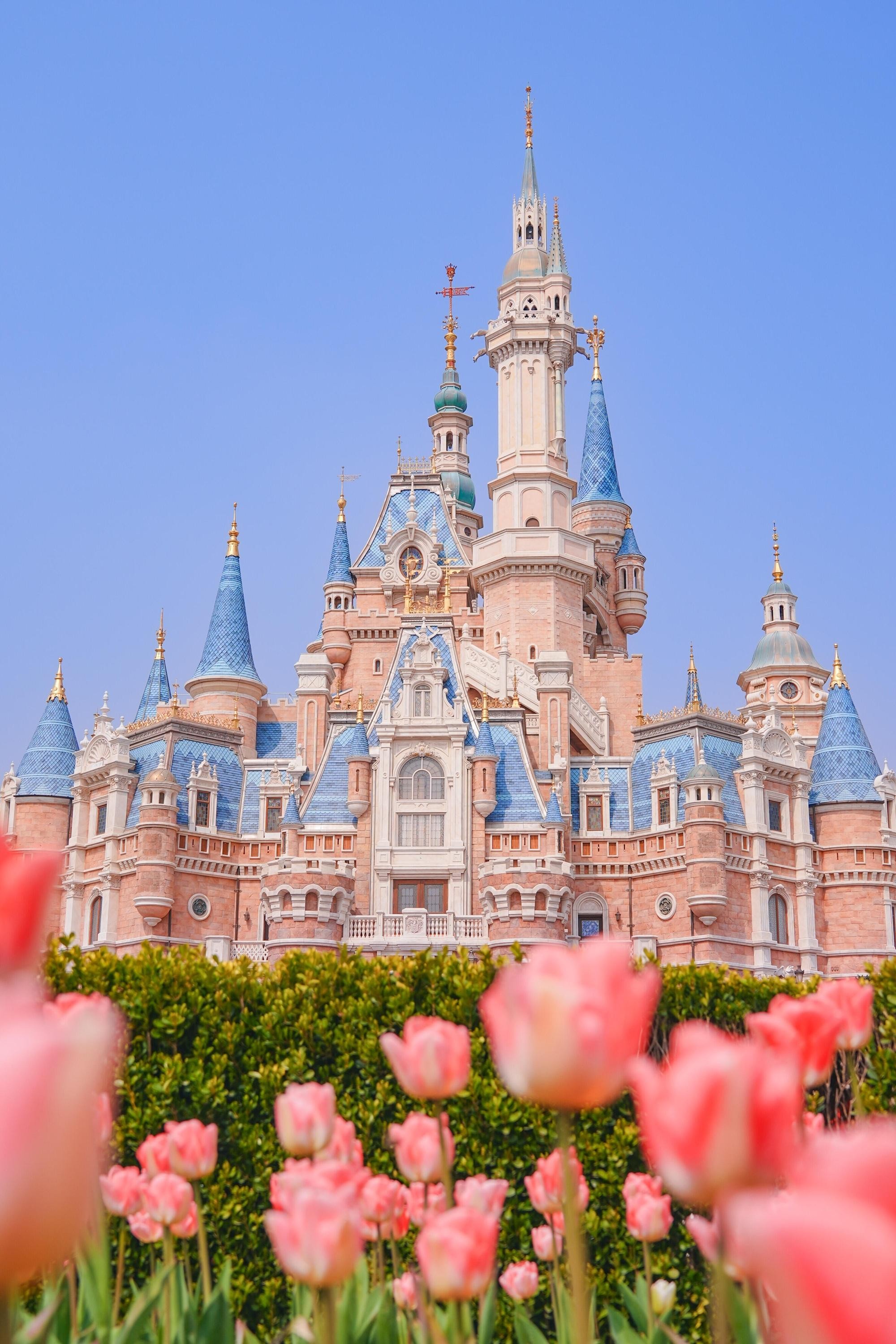 Shanghai: 4-Day Tour with Disneyland and Hotel 3