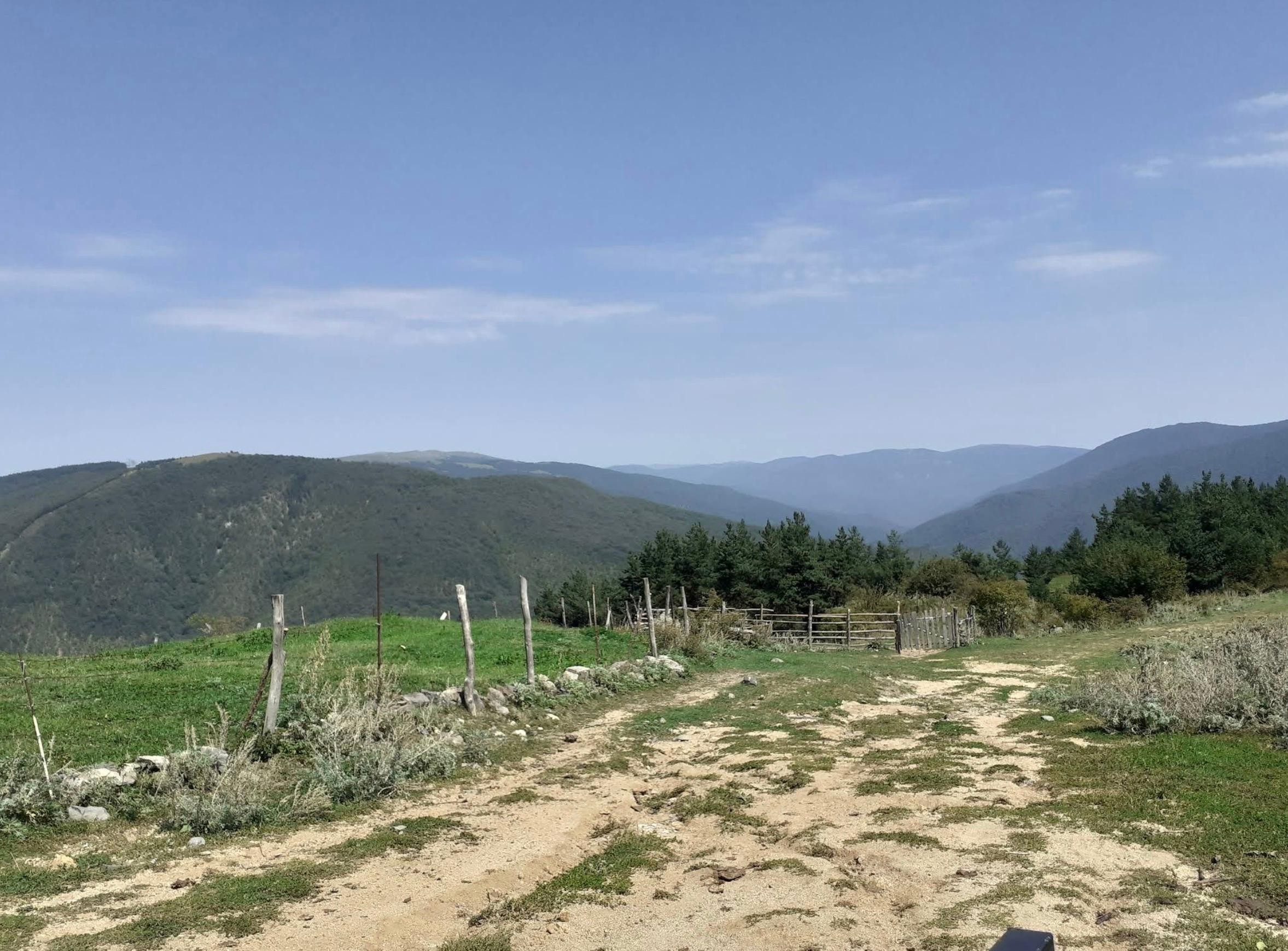 Tbilisi: Trialeti Mountains & Manglisi Monastery Tour 2