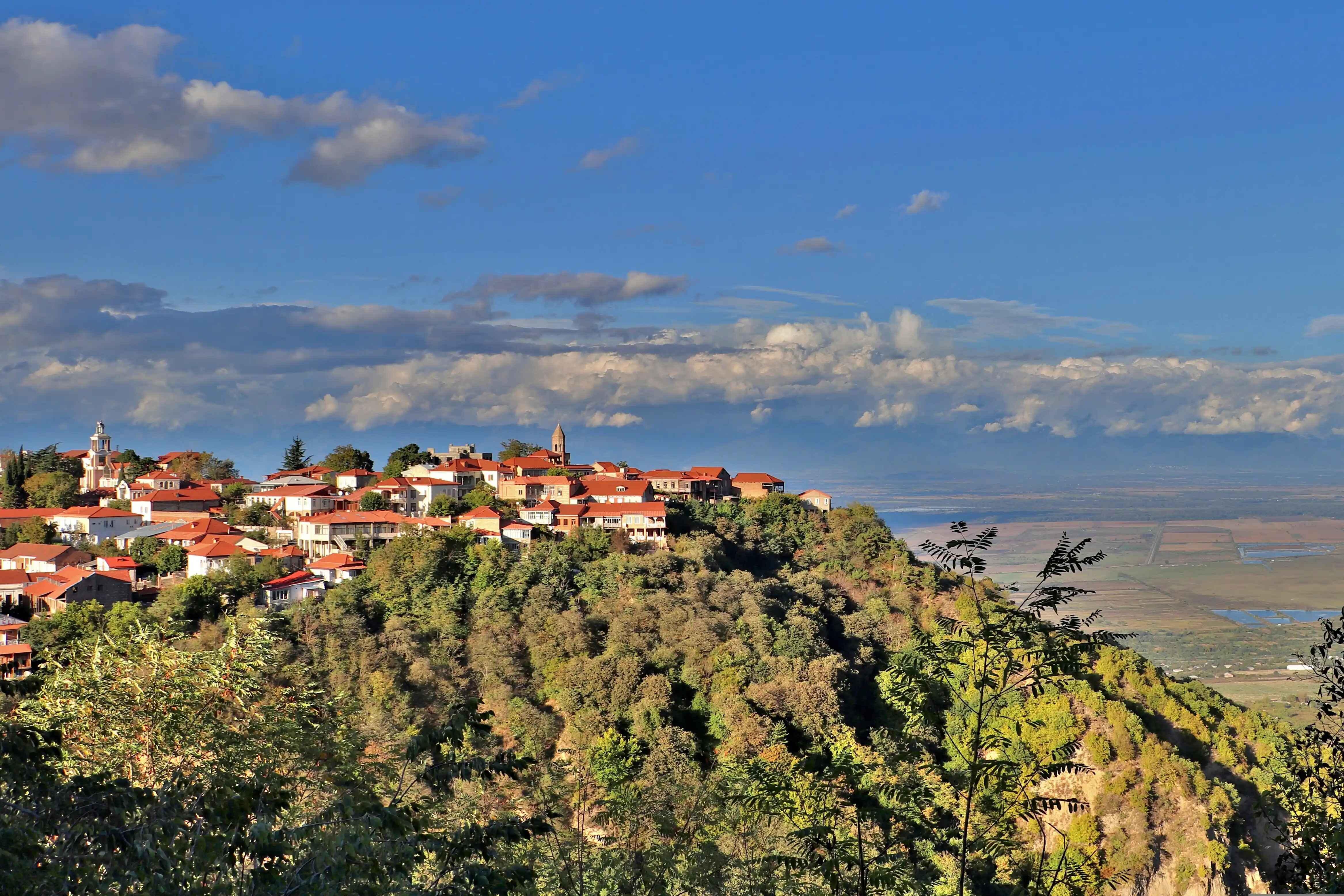 Kakheti: Full-Day Wine & Culture Adventure from Tbilisi 2