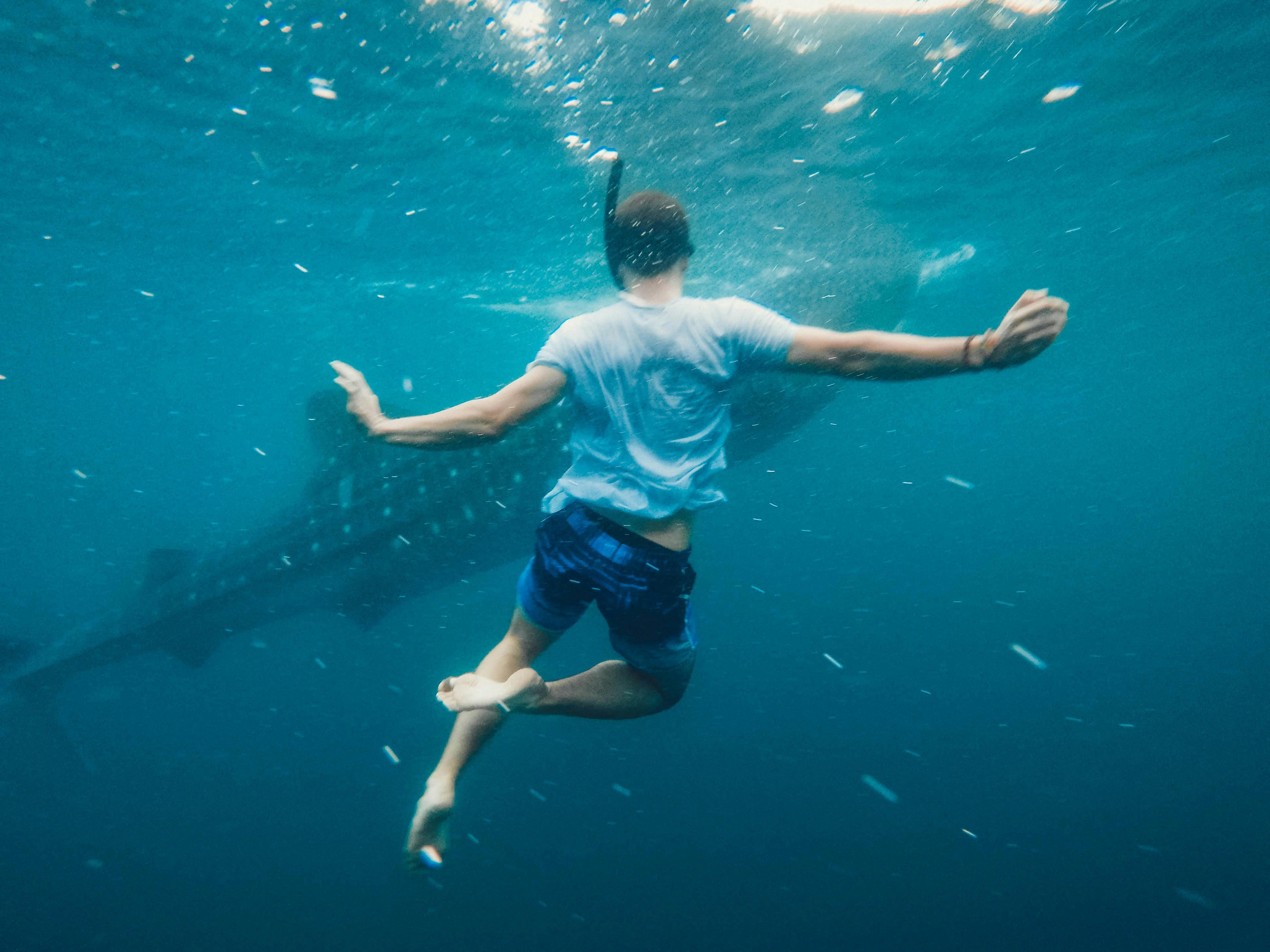 Cebu Oslob Whale Shark Swimming & Kawasan Falls Canyoneering 3