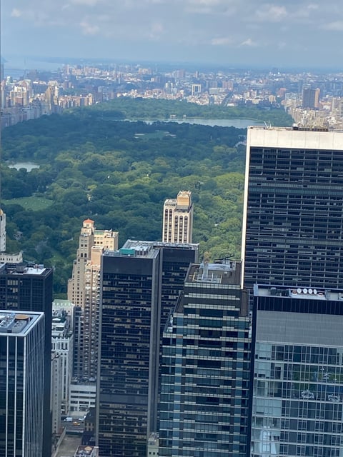 Central Park from the north rail — the full green rectangle running up Manhattan between the Upper East and Upper West Side