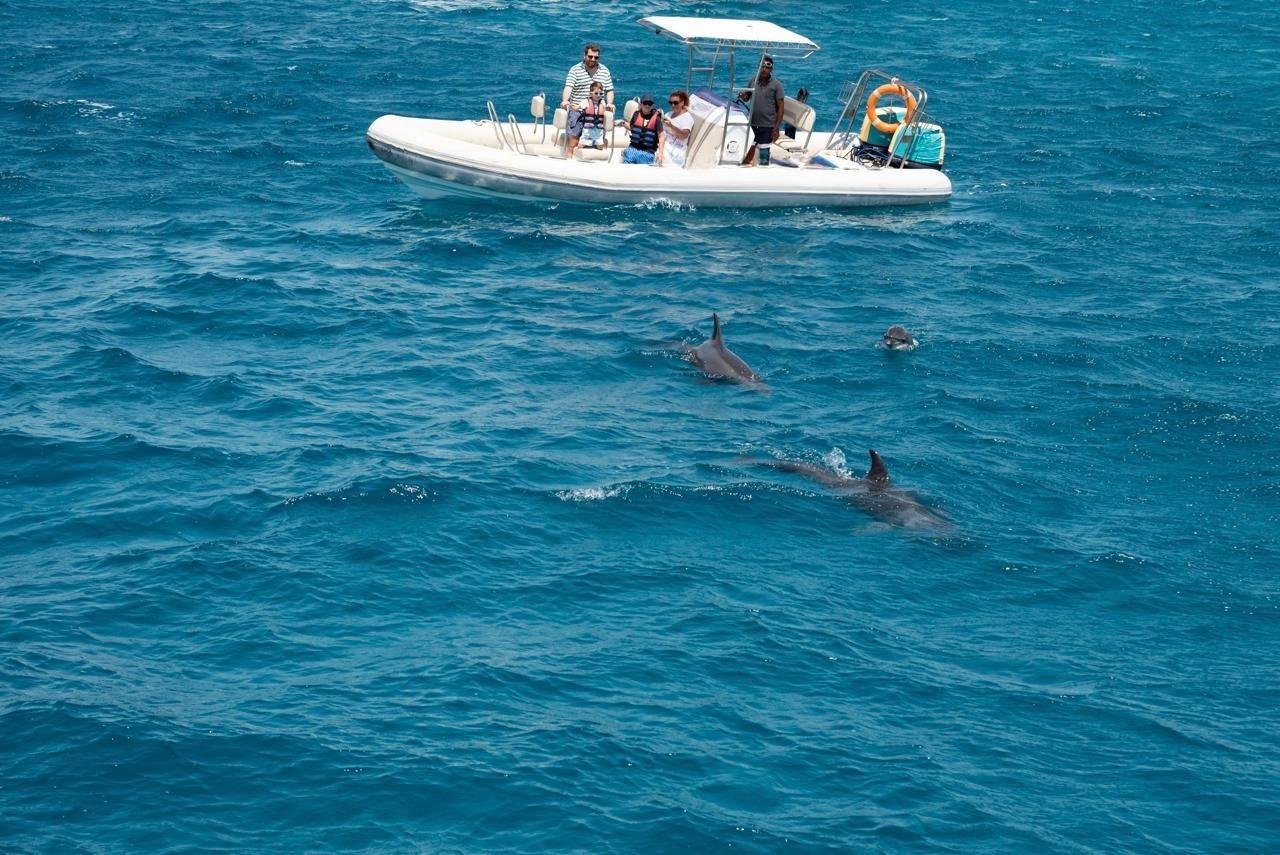 Hurghada: Orange Bay Dolphin Watching, Snorkeling & Fruits - Hurghada Orange Bay (Photo 2)