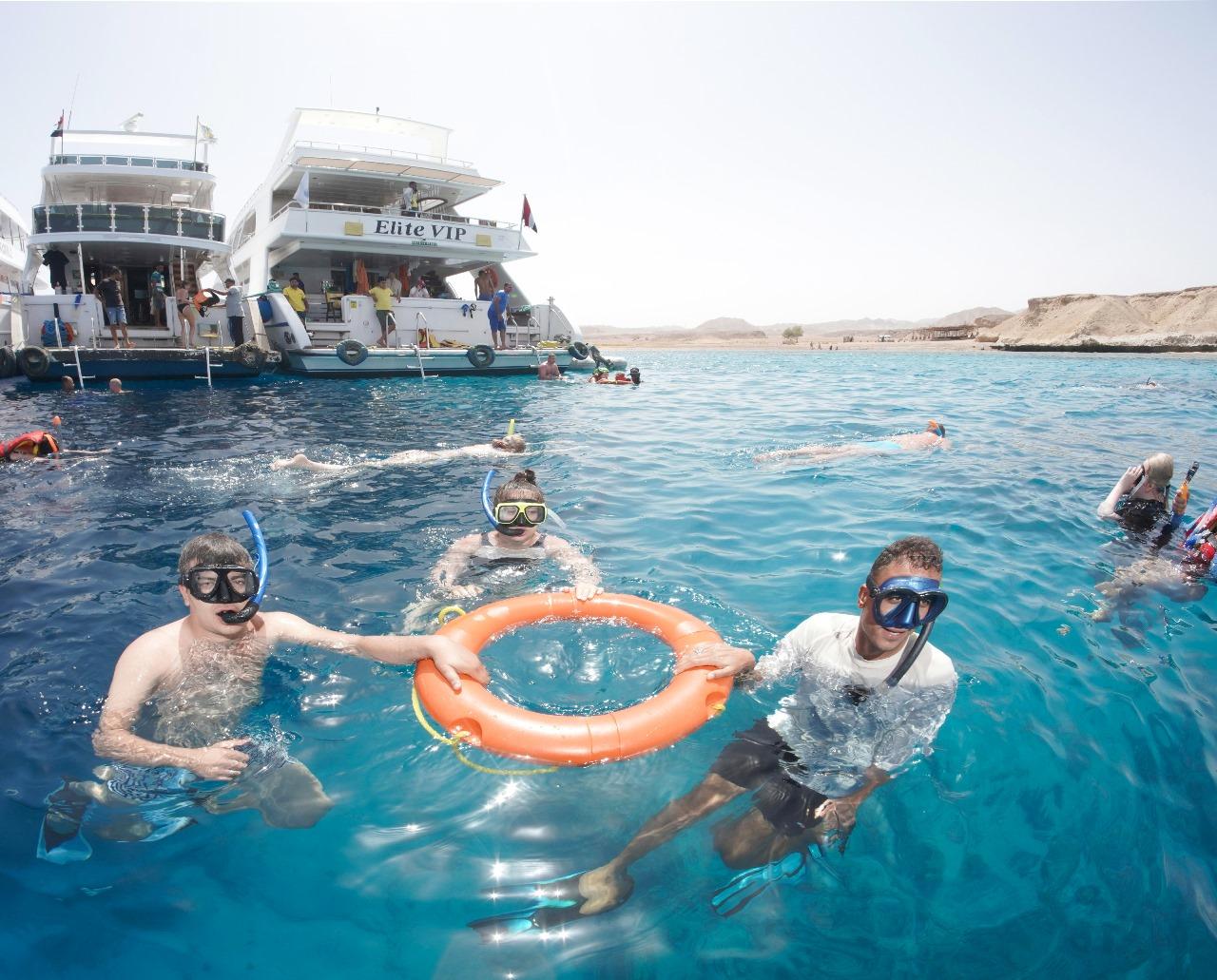 From Sharm: Half day Snorkeling Trip with Lunch - Sharm Snorkeling (Gallery Photo 8)