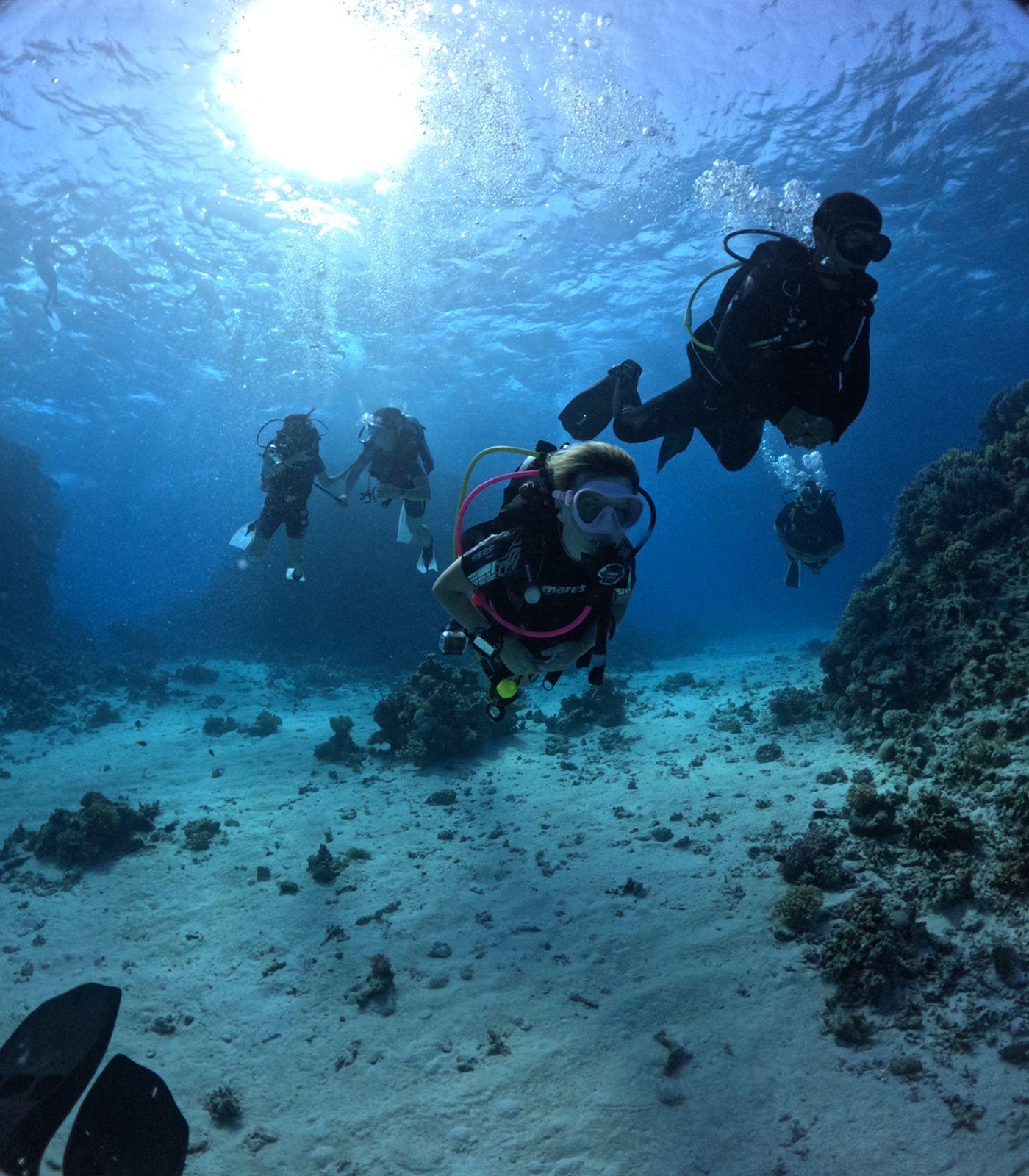 Beginner Diving: Discover the Red Sea’s Underwater World - Hurghada Beginner Diving (Photo 3)