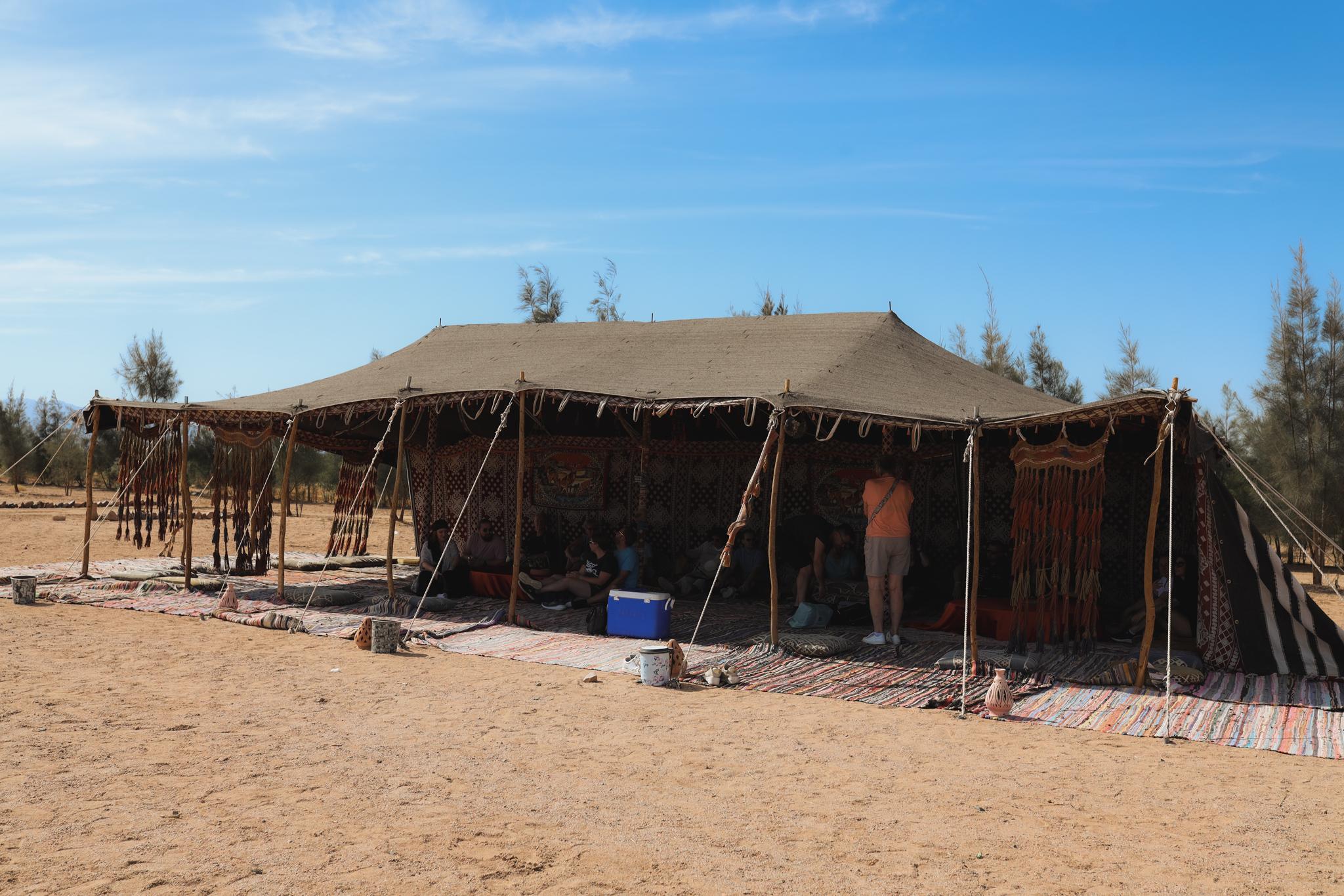 Hurghada: Oasis sunset with Camel Ride & stars - Hurghada Oasis Sunset (Photo 5)