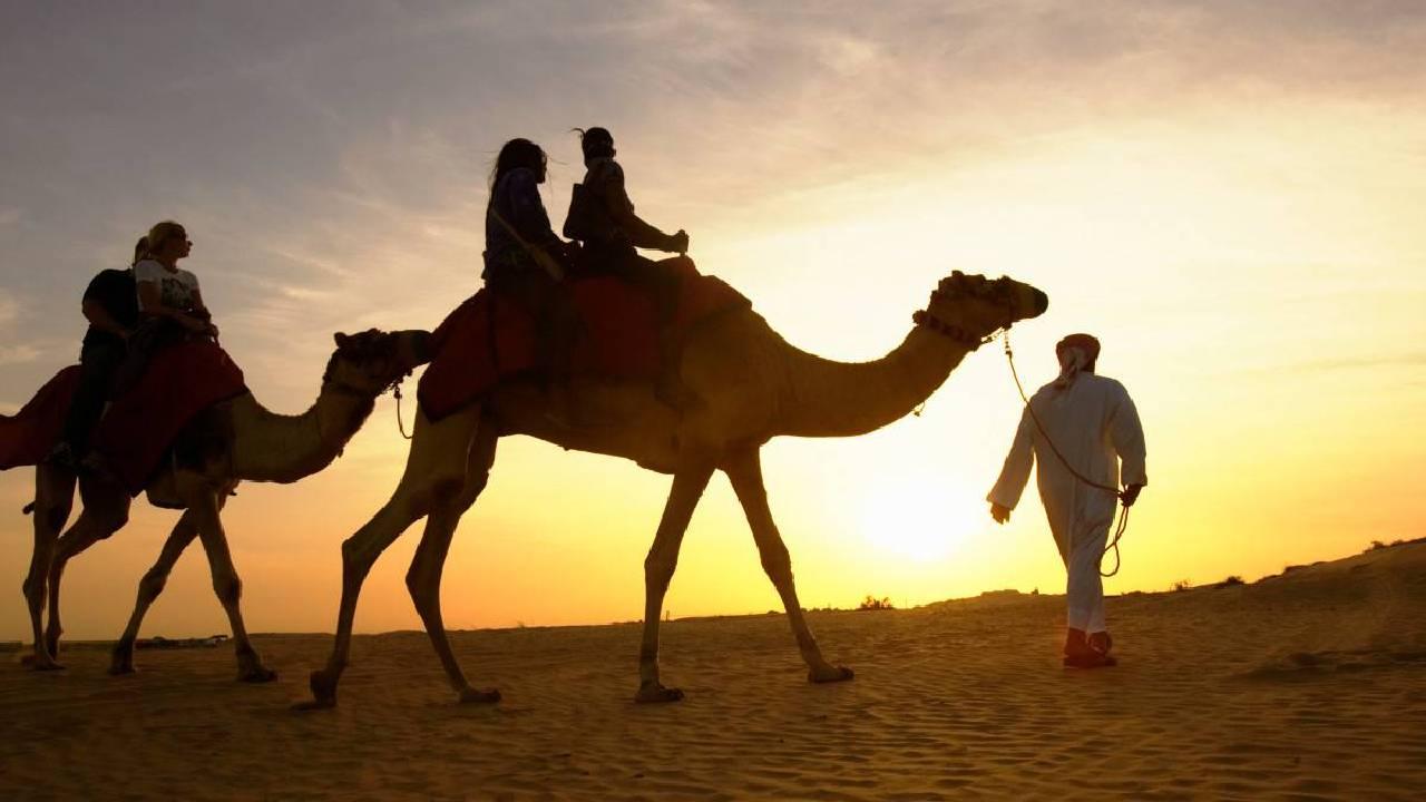 Sharm El Sheikh: Quad Biking, Camel Ride & Bedouin Dinner. - Sharm Sheikh Quad (Photo 3)