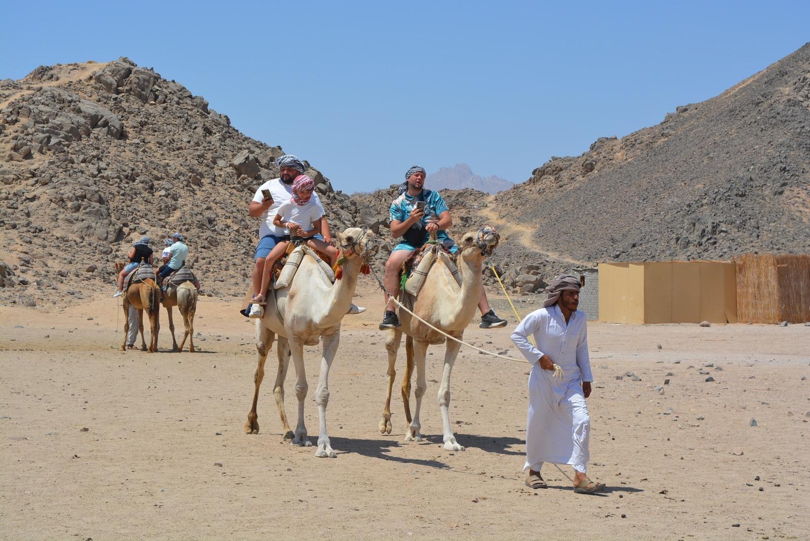 Marsa Alam: Desert Quad Bike, Camel Ride, and Bedouin Tour - Marsa Alam Desert (Gallery Photo 6)