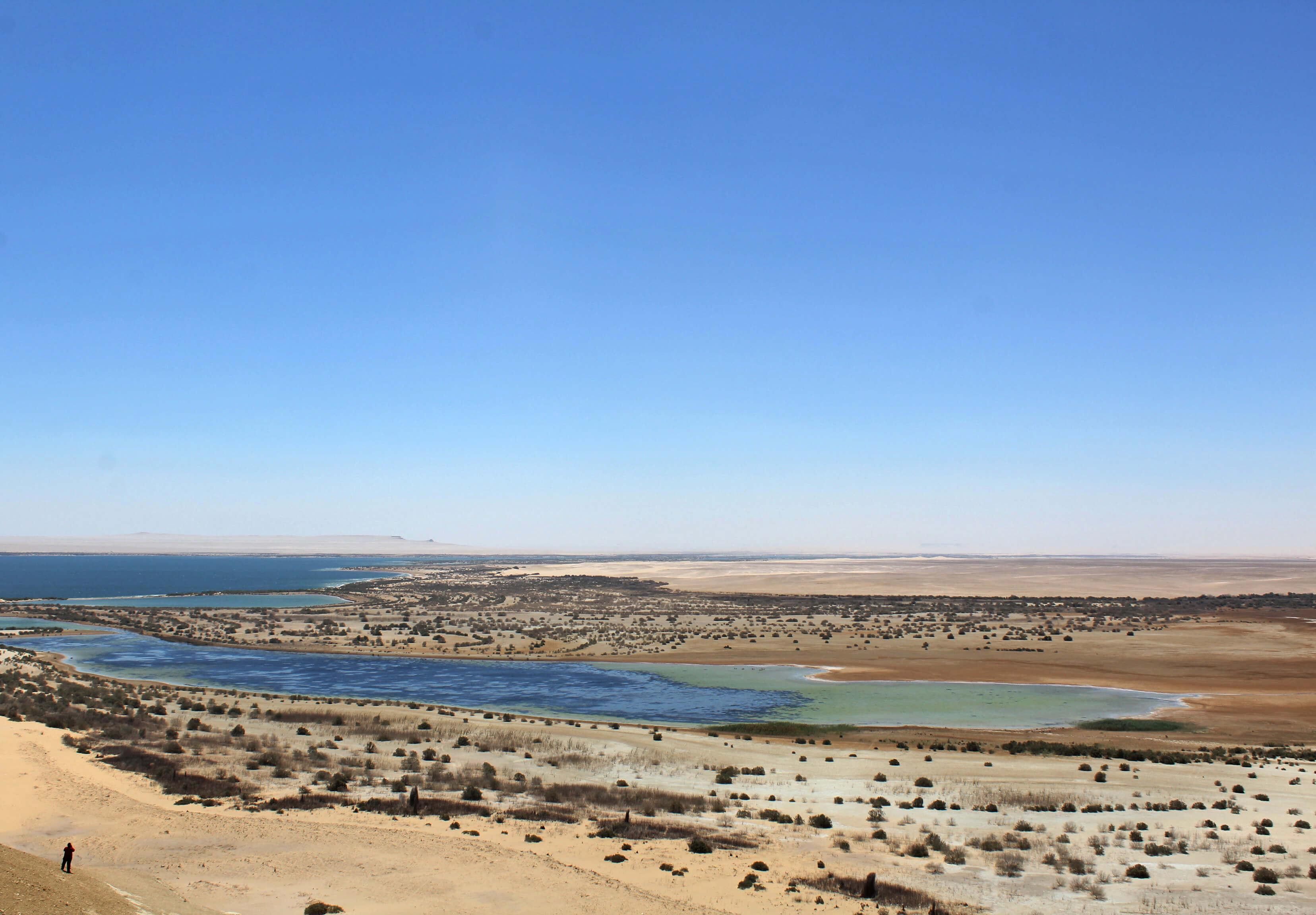 From Cairo: Full-Day Tour to El Fayoum - Cairo Fayoum (Gallery Photo 8)