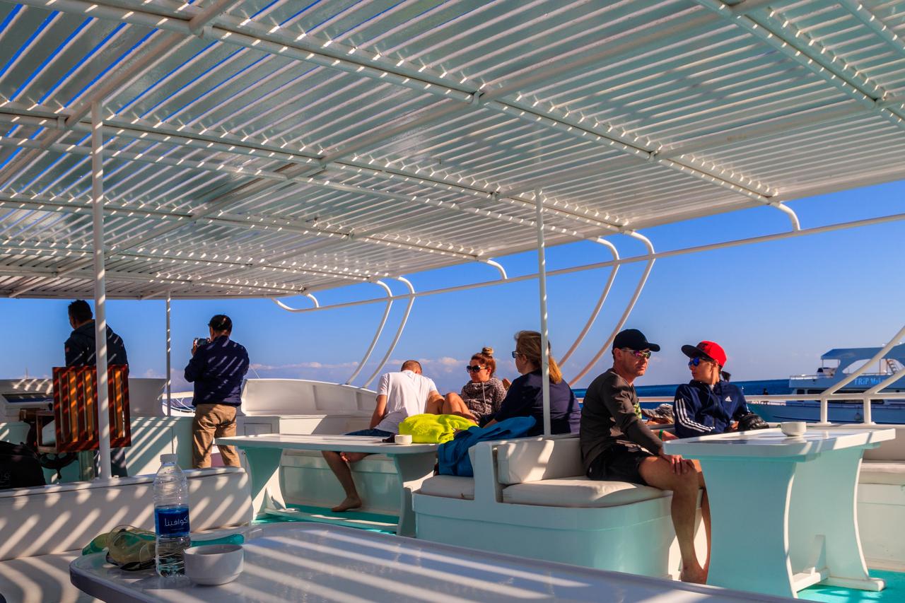 Marsa Alam: Dolphin House Adventure at Shaab Samadai Reef - Marsa Alam Dolphin (Gallery Photo 8)