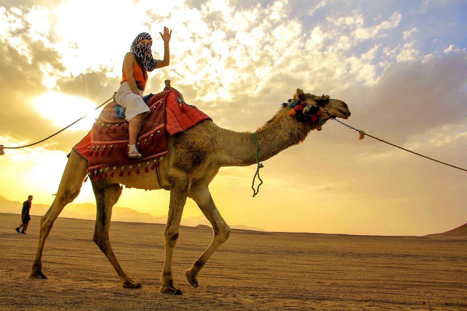 Hurghada: Oasis sunset with Camel Ride & stars - Hurghada Oasis Sunset (Gallery Photo 8)