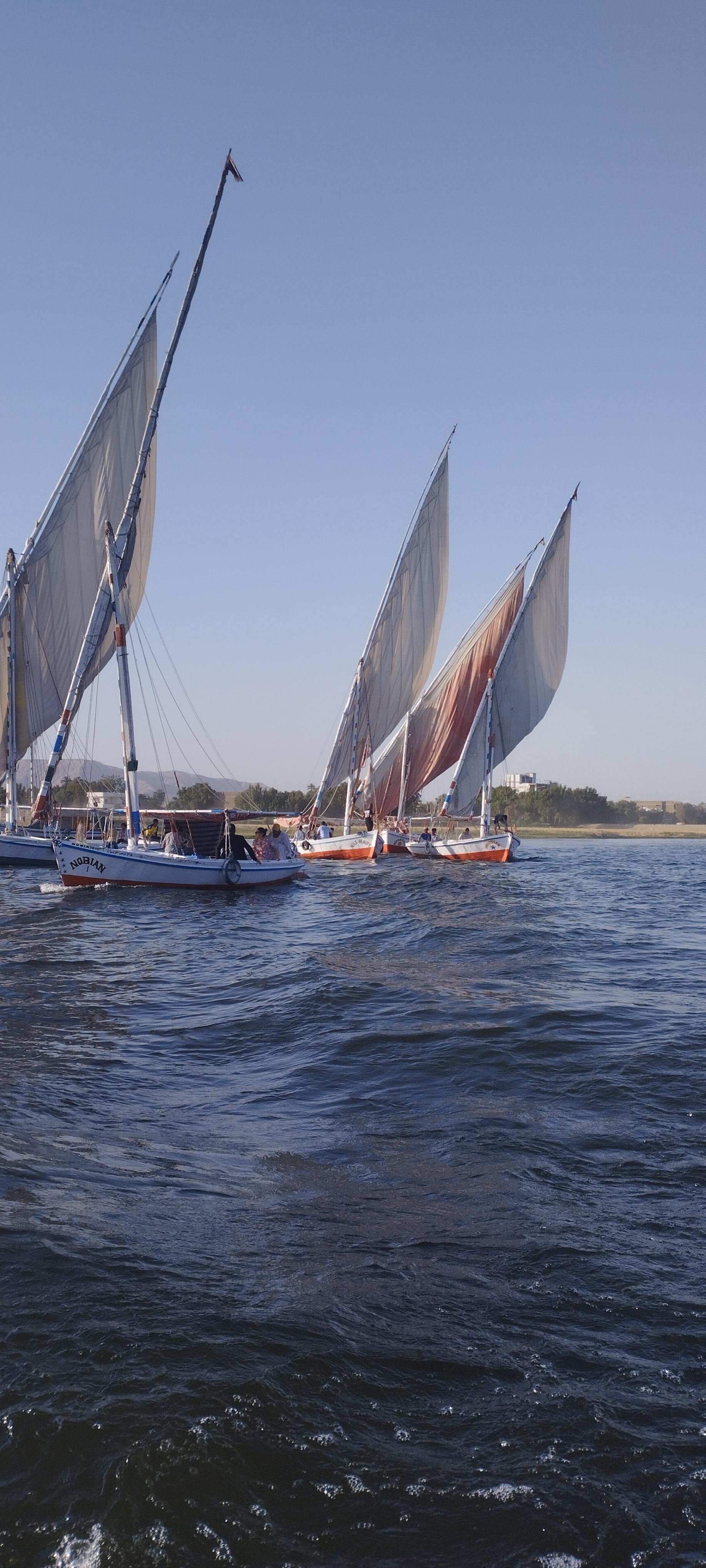 Luxor: Sunset Felucca Boat Trip with Hotel Pickup - Luxor Sunset Felucca (Photo 3)