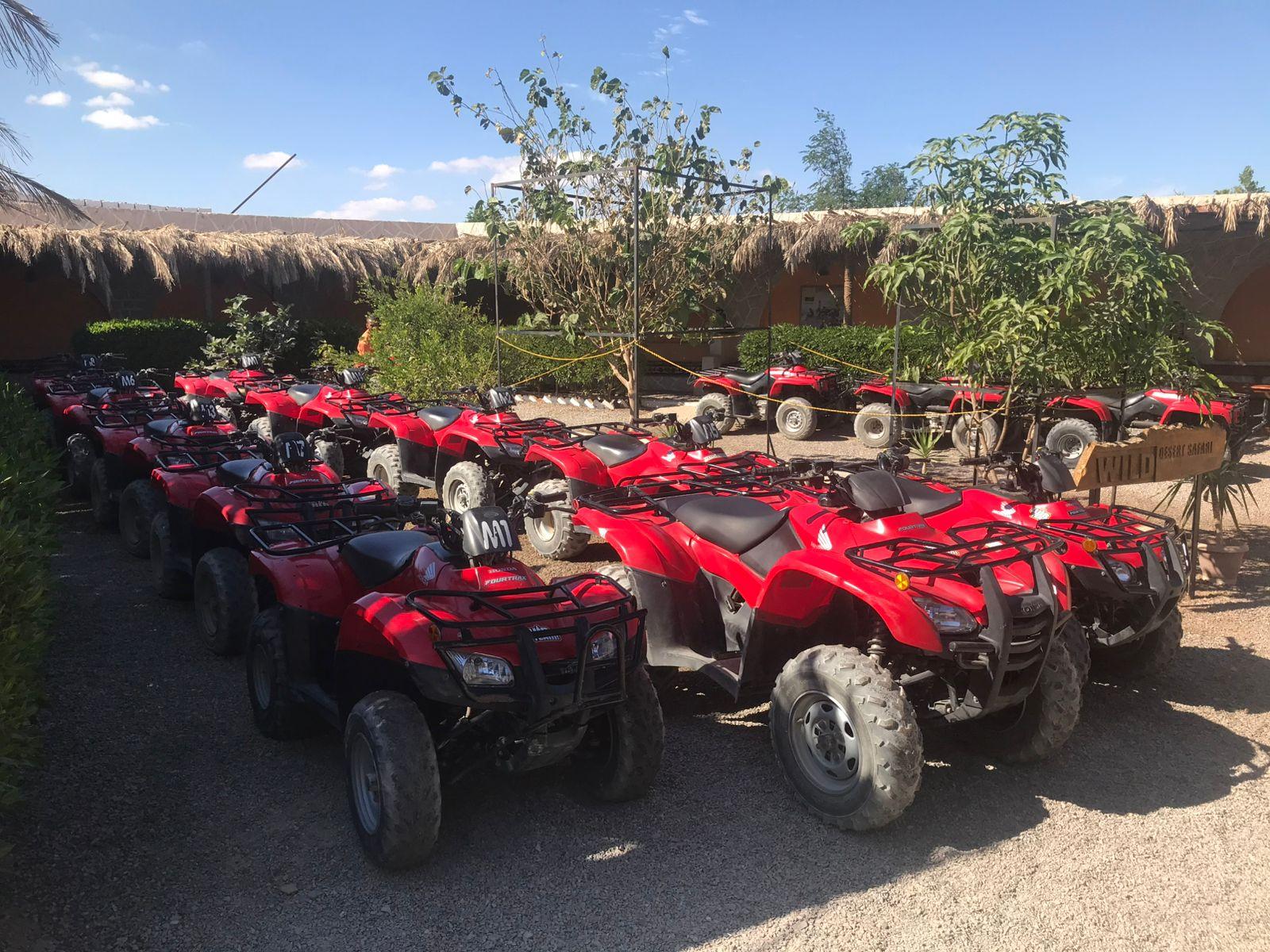 Hurghada: Desert Quad Bike, ATV, Camel Ride & Optional BBQ - Hurghada Desert Quad (Gallery Photo 6)