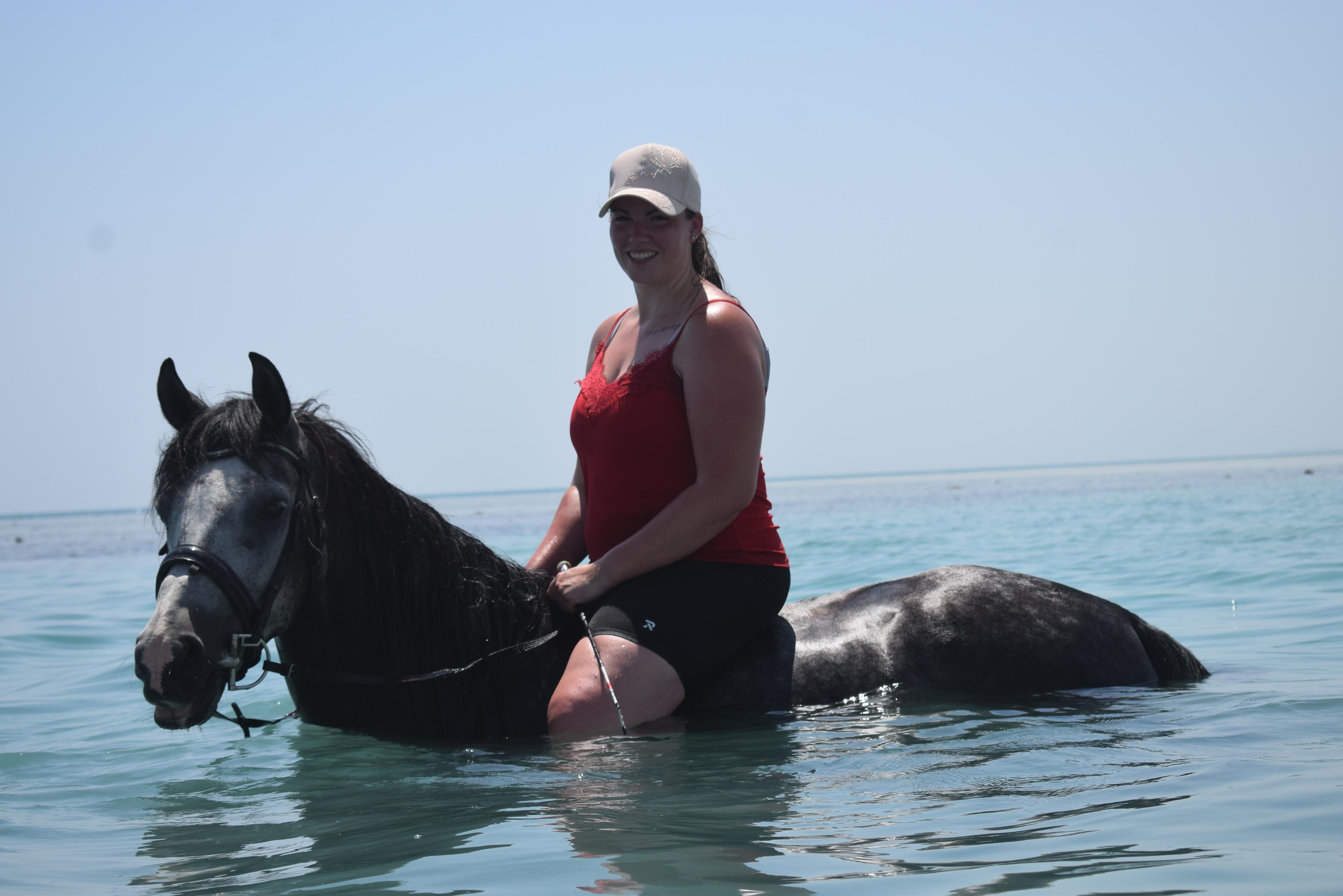 Hurghada: Swimming with Horses & Desert Ride with Transfers - Hurghada Swimming Horses (Gallery Photo 8)