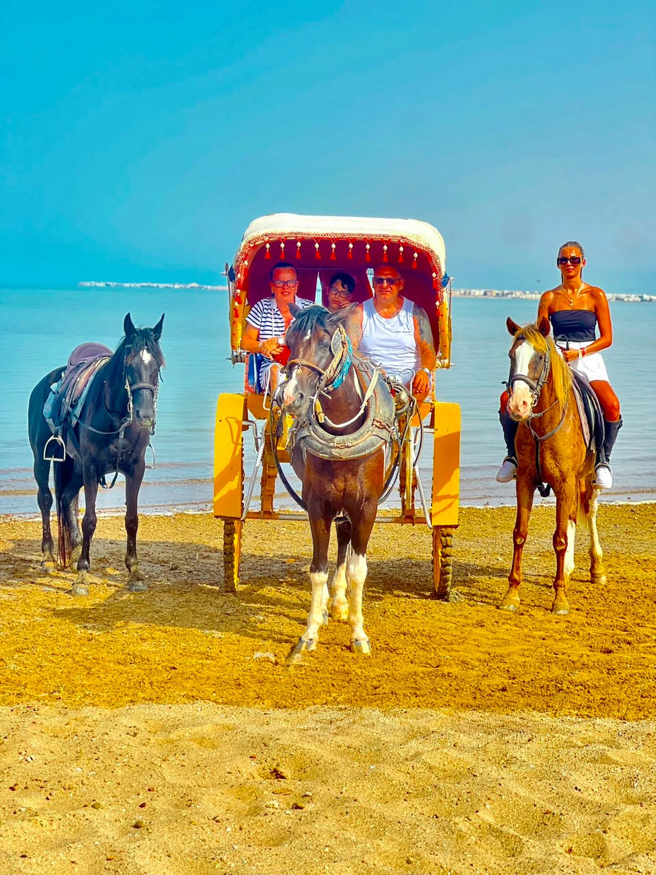 Hurghada: Desert & Sea Horse Riding Tour w/Optional Swimming - Hurghada Desert Sea (Photo 5)