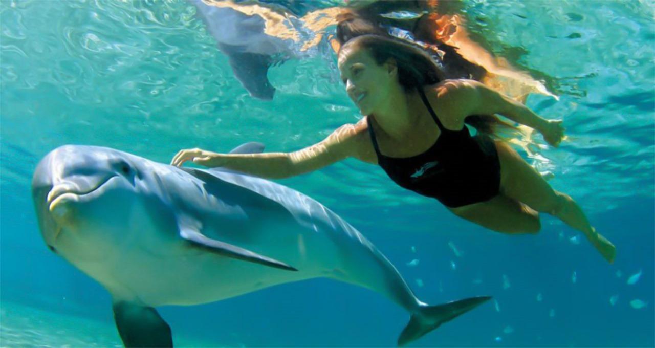 Hurghada: Dolphin watch Cruise with optional pickup - Hurghada Dolphin Watch (Photo 5)