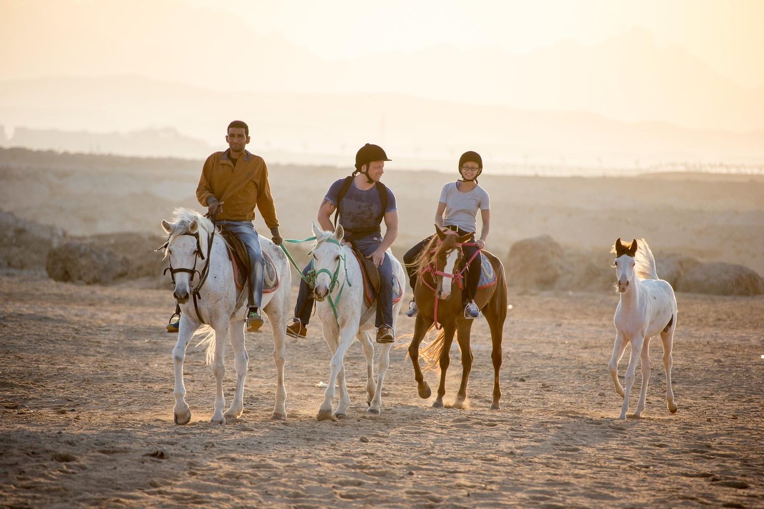 Sahl Hasheesh: Desert & Sea Horse Ride w/Optional Swimming - Hurghada Sahl Hasheesh (Photo 5)