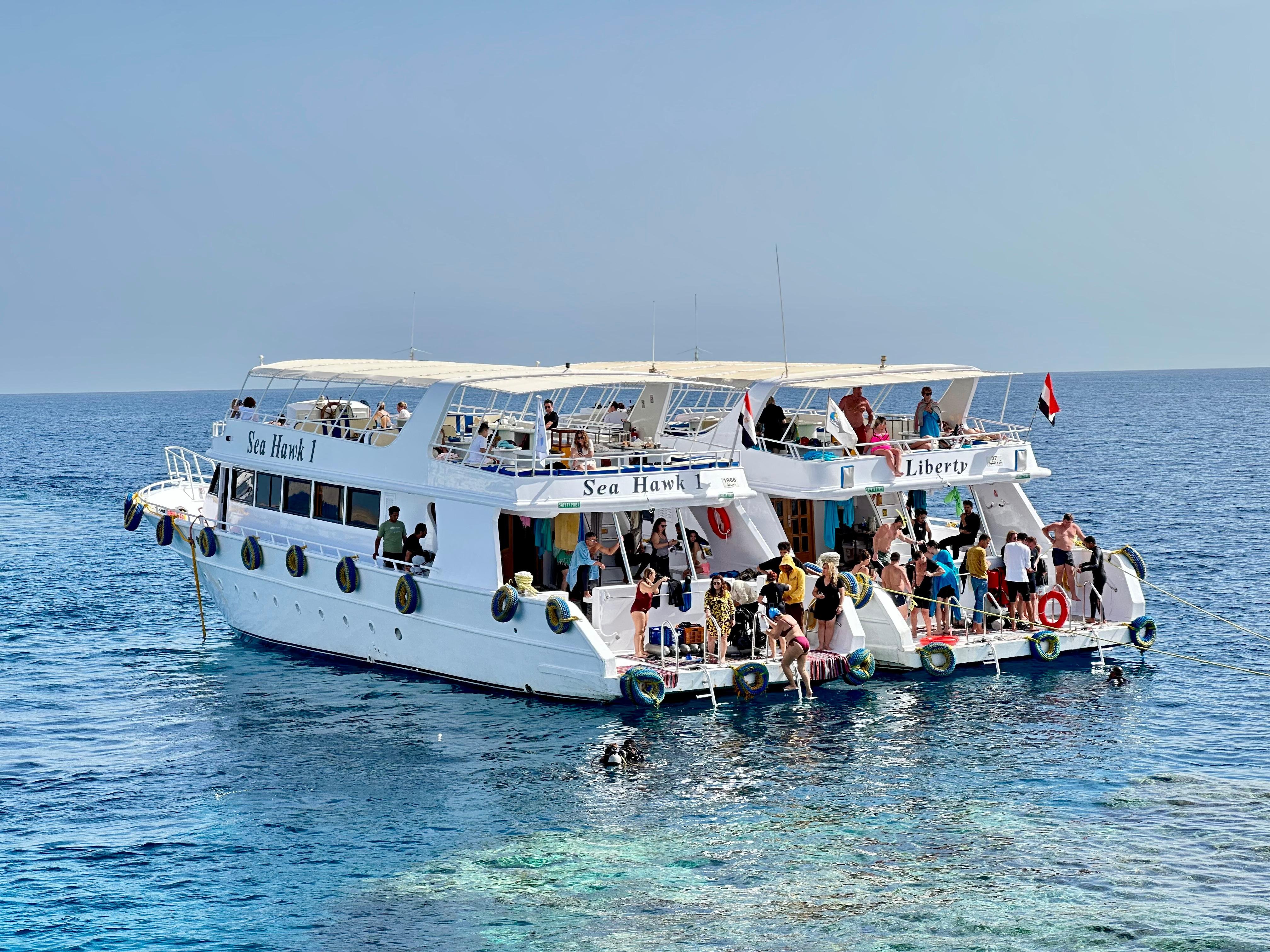 Sharm: Small Group White Island & Ras Mohammed Boat Cruise - Sharm White Island (Photo 4)