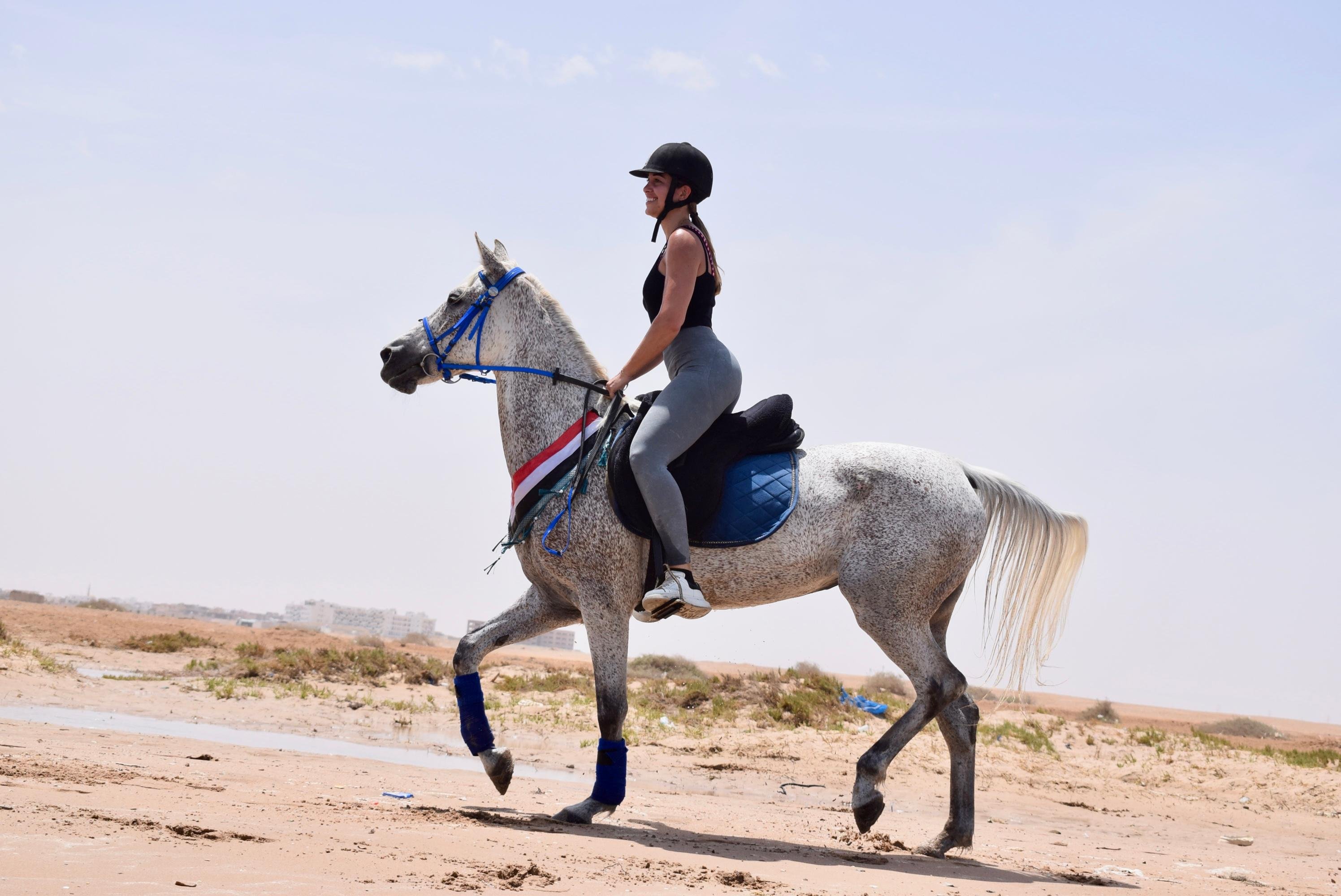 Hurghada: Swimming with Horses & Desert Ride with Transfers - Hurghada Swimming Horses (Gallery Photo 6)
