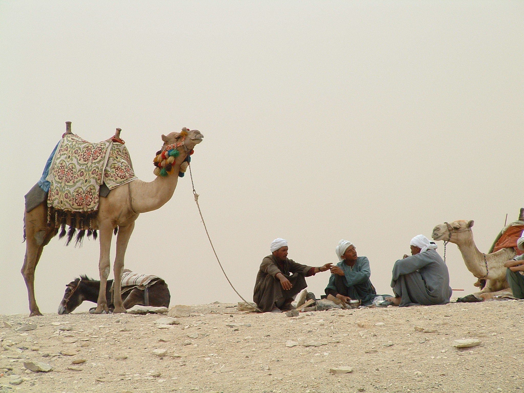 Half-Day Cairo Sightseeing Tour to Pyramids of Giza & Sphinx - Cairo Sightseeing Pyramids (Photo 5)